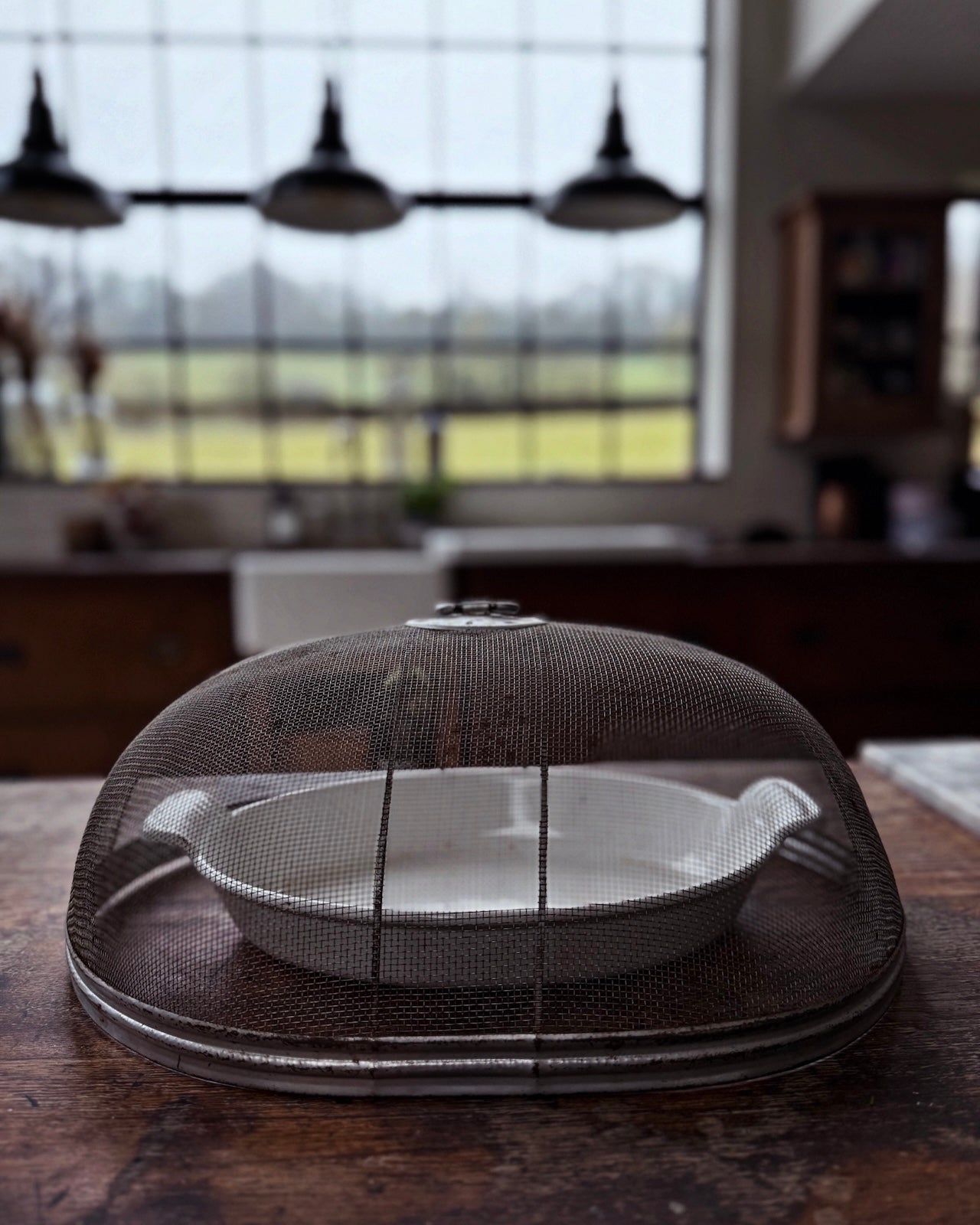 Vintage mesh Wirax oval food cover / cloche
