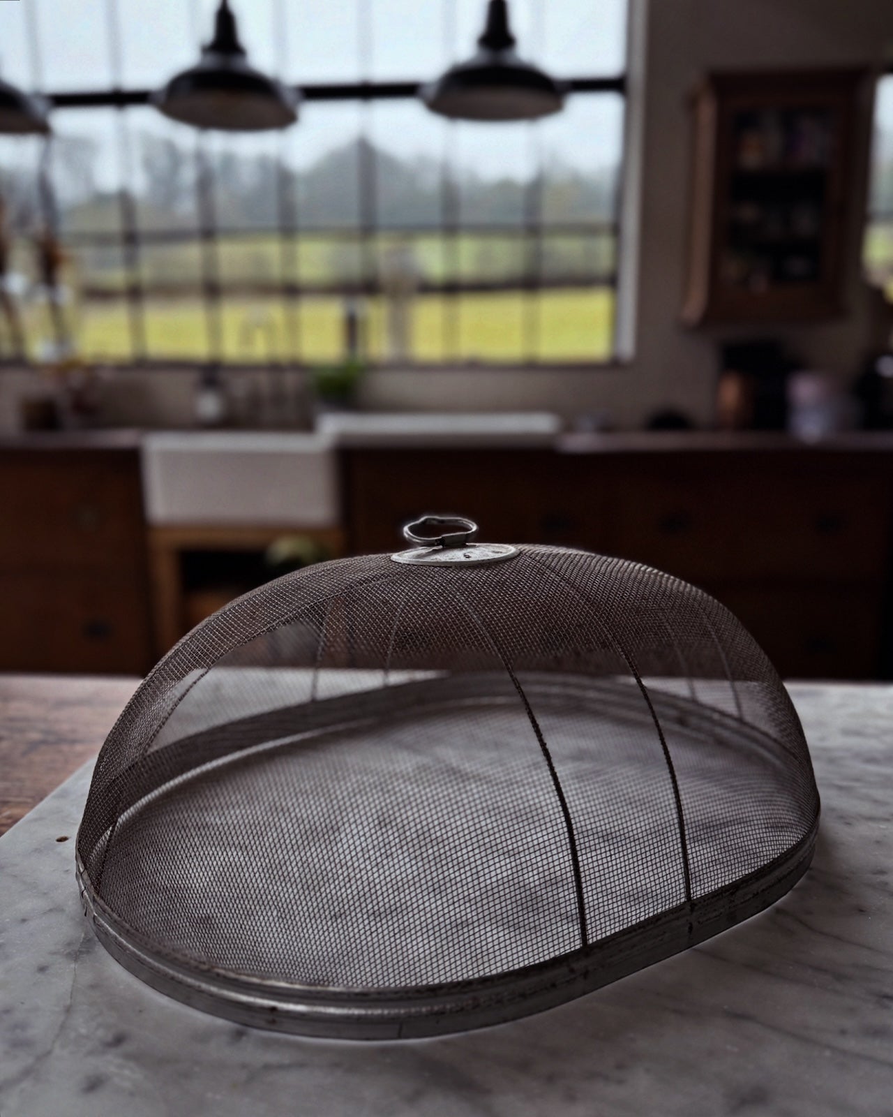 Vintage mesh Wirax oval food cover / cloche