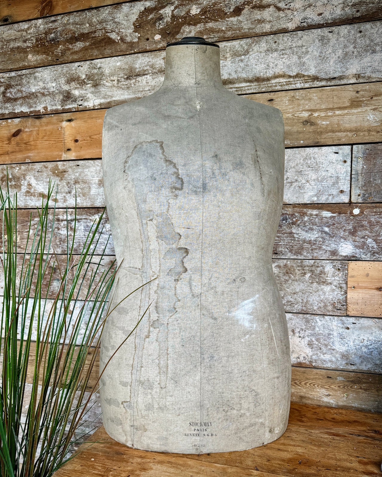 Rustic vintage male dressmakers dummy