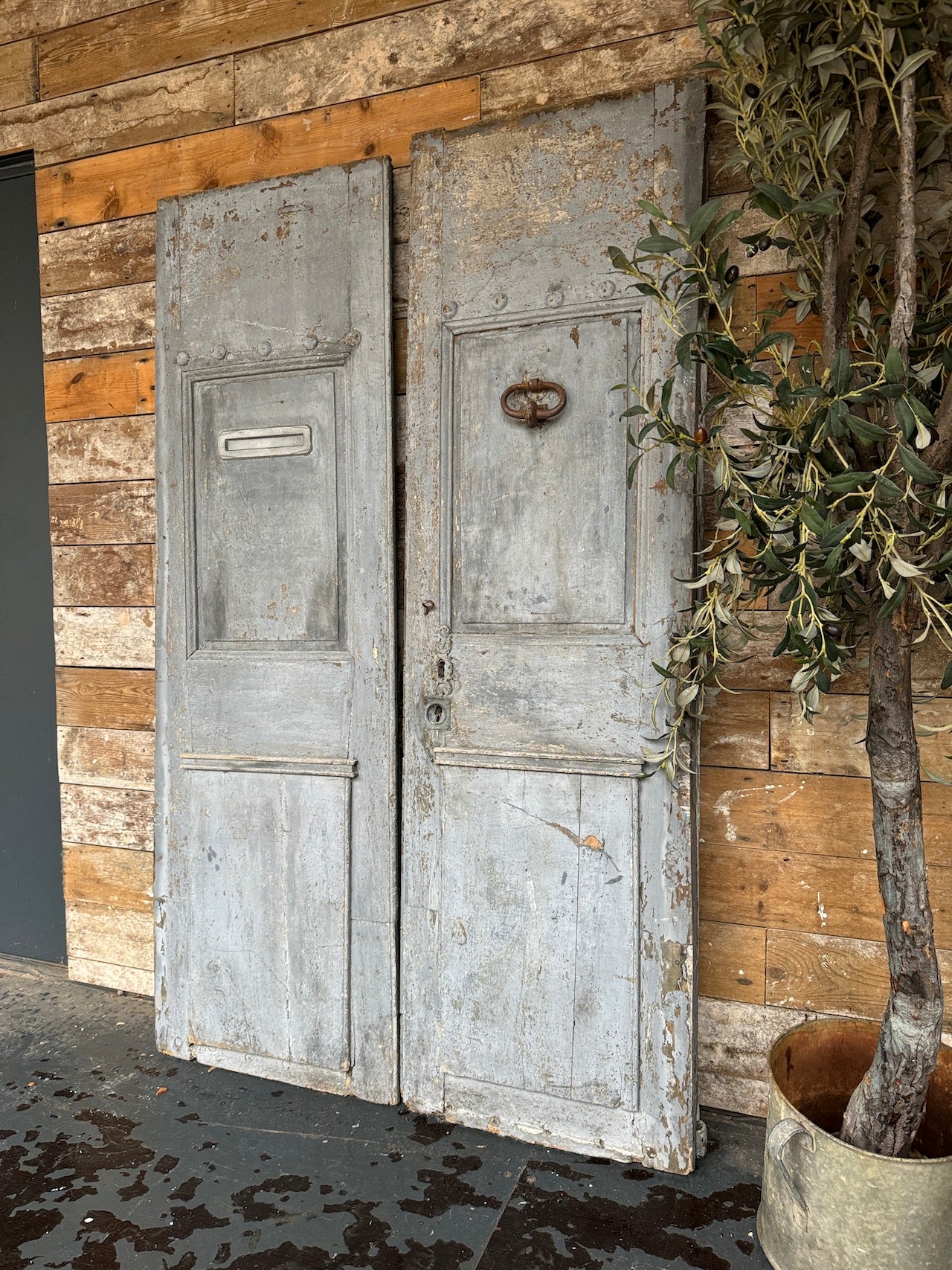 Rustic 18th Century French doors