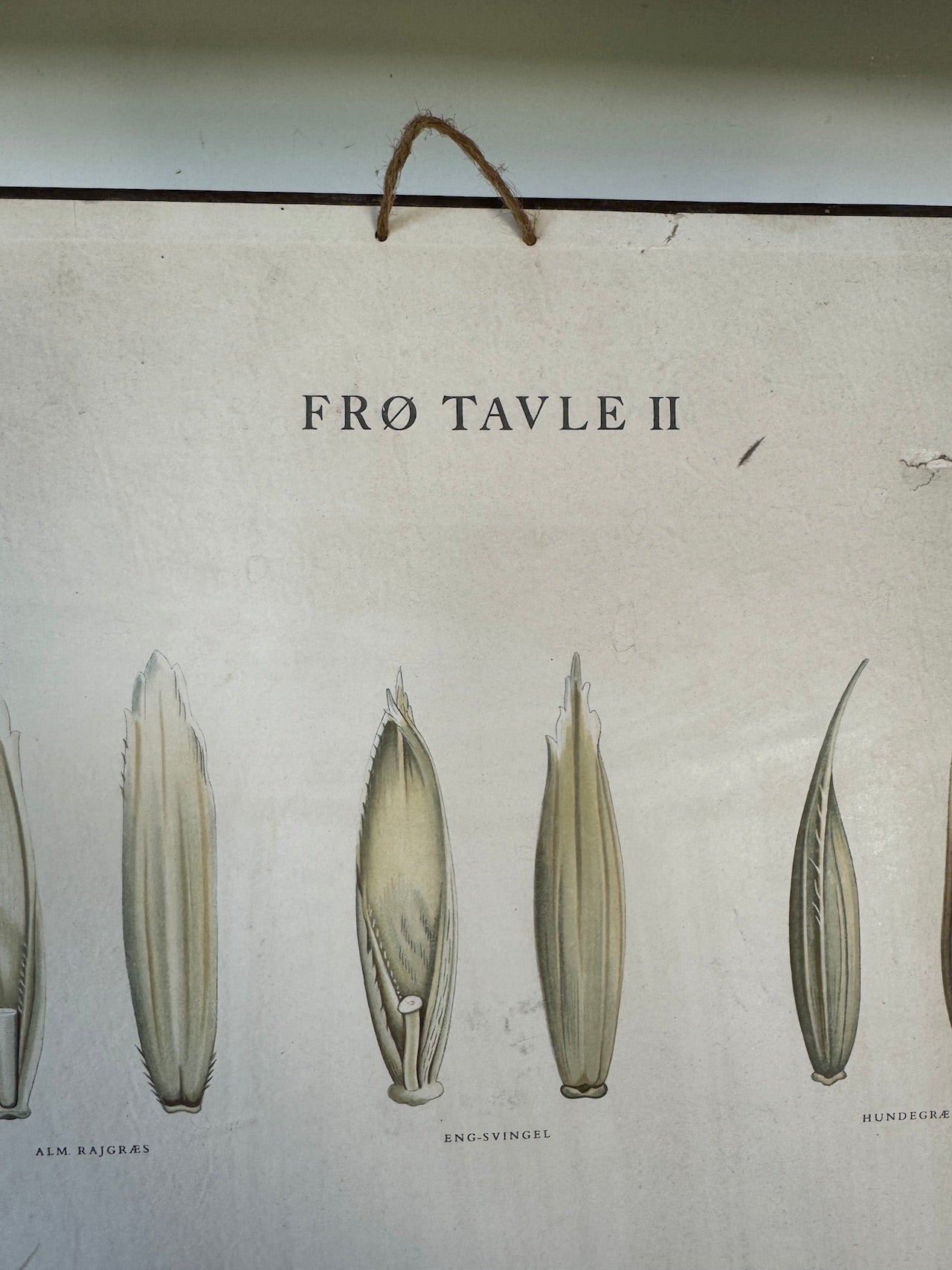 Vintage Danish Seed print on board