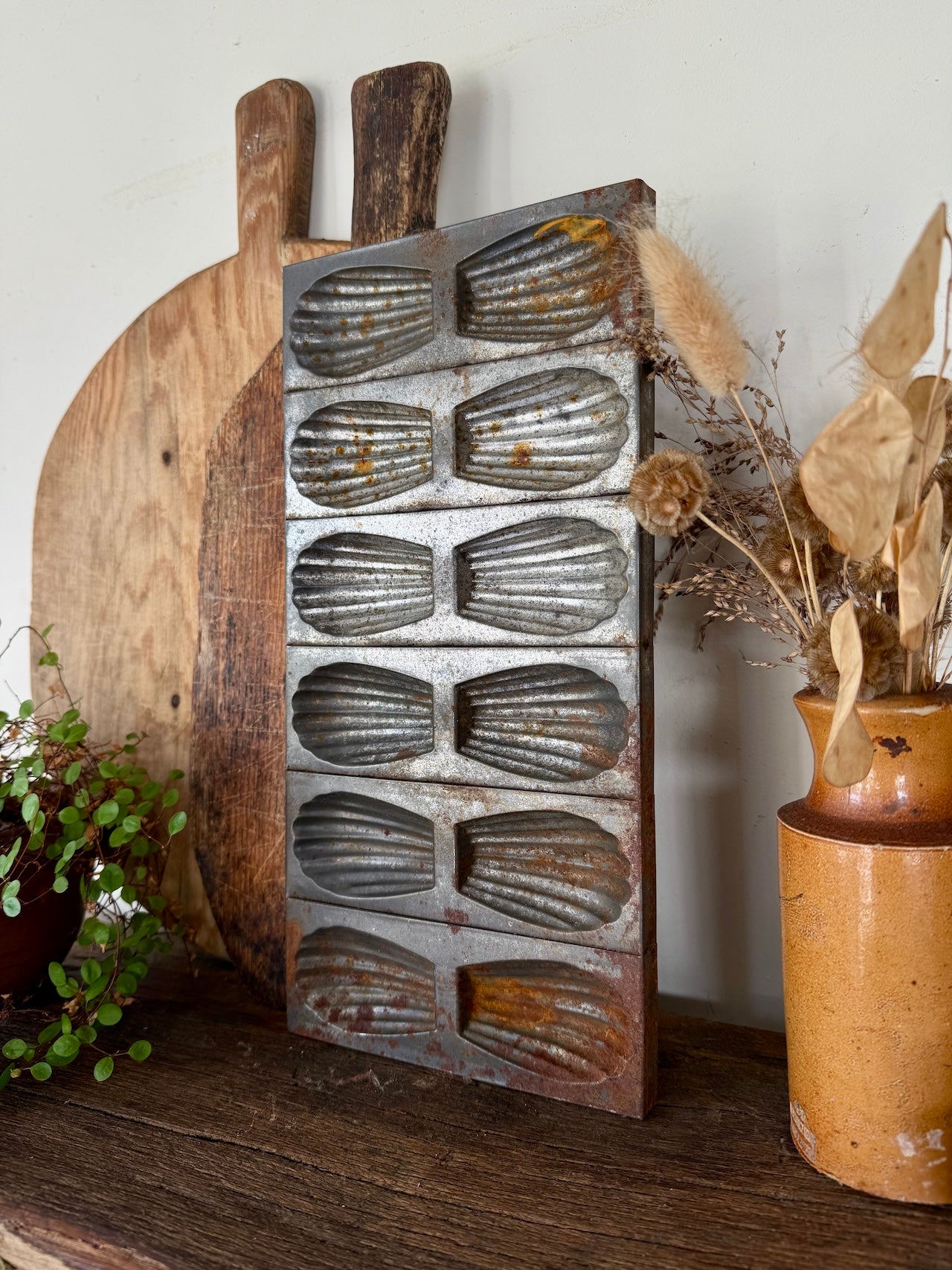 Vintage French Madeleine cake tin