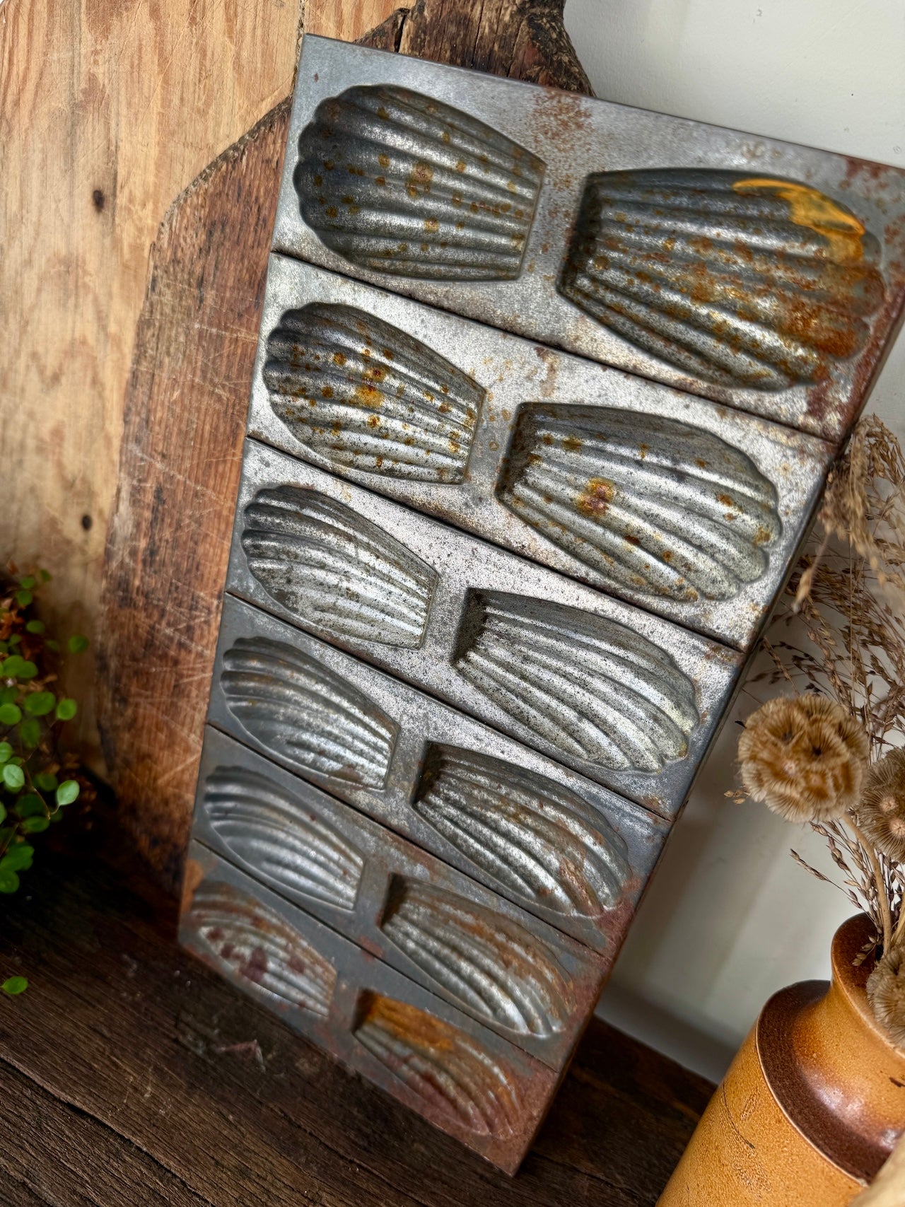 Vintage French Madeleine cake tin