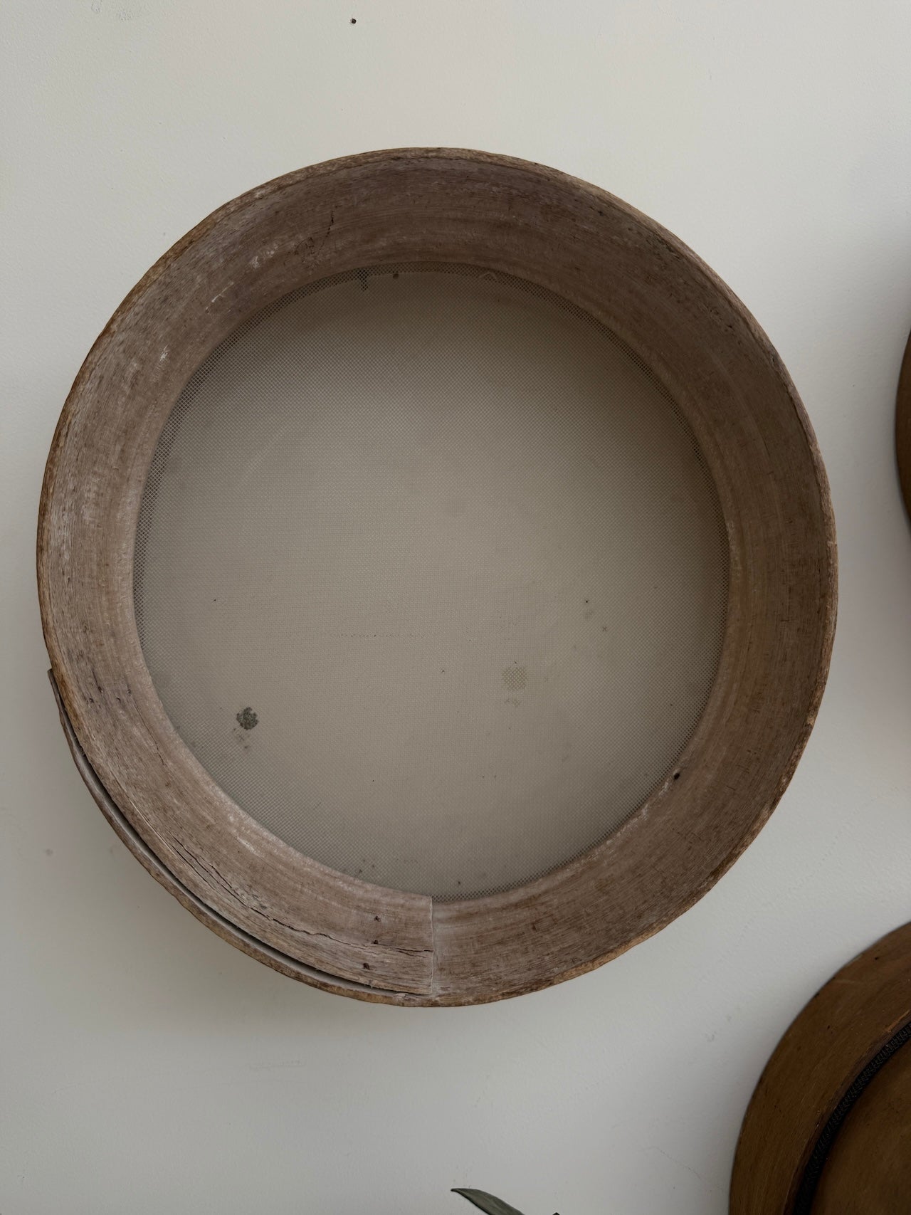 Antique French bentwood garden riddles