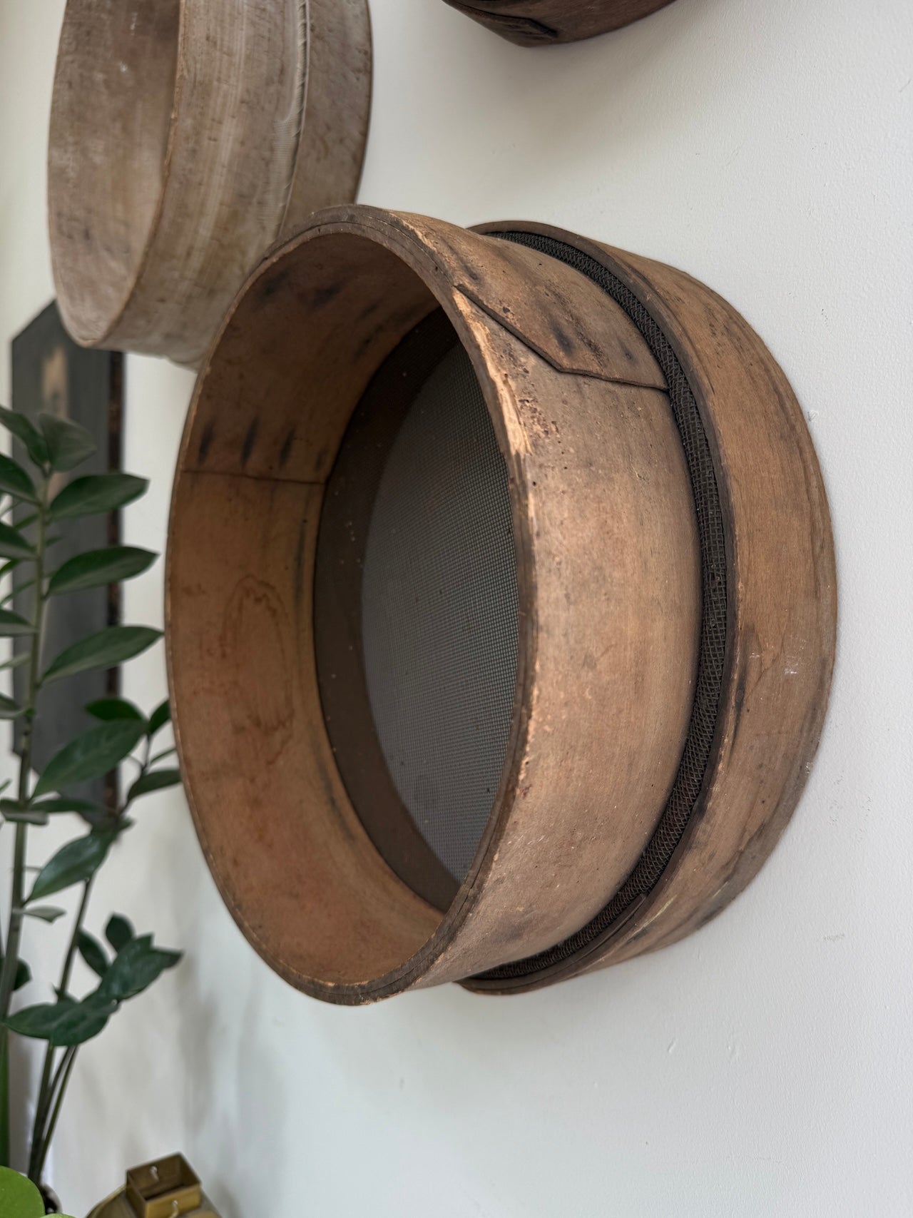 Antique French bentwood garden riddles