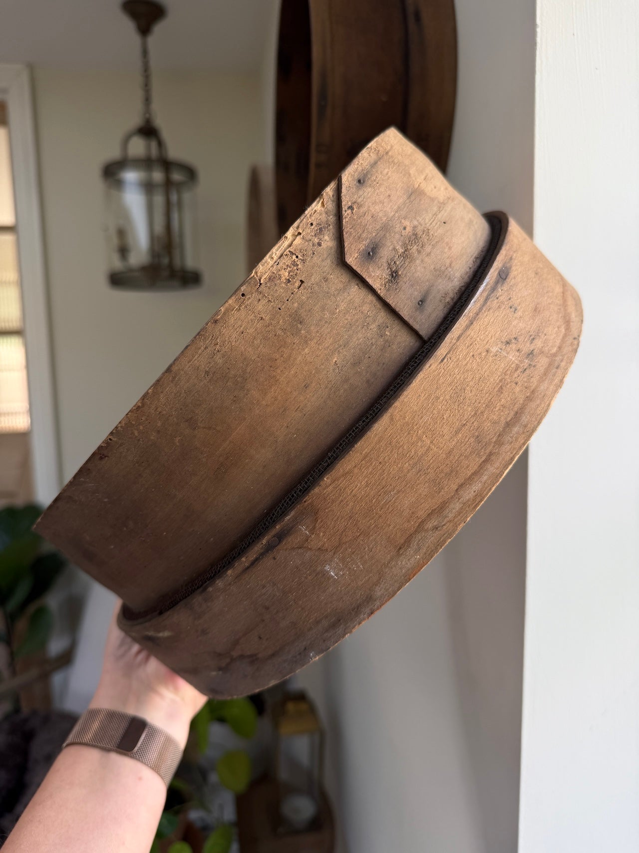 Antique French bentwood garden riddles