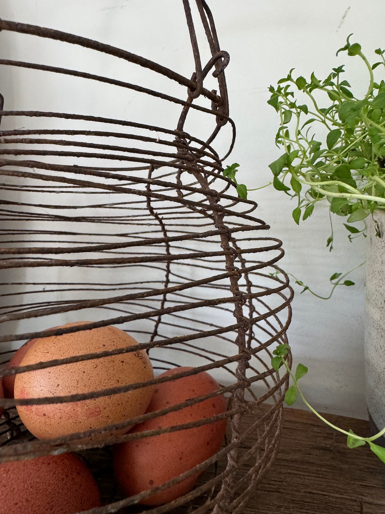 Vintage French egg basket