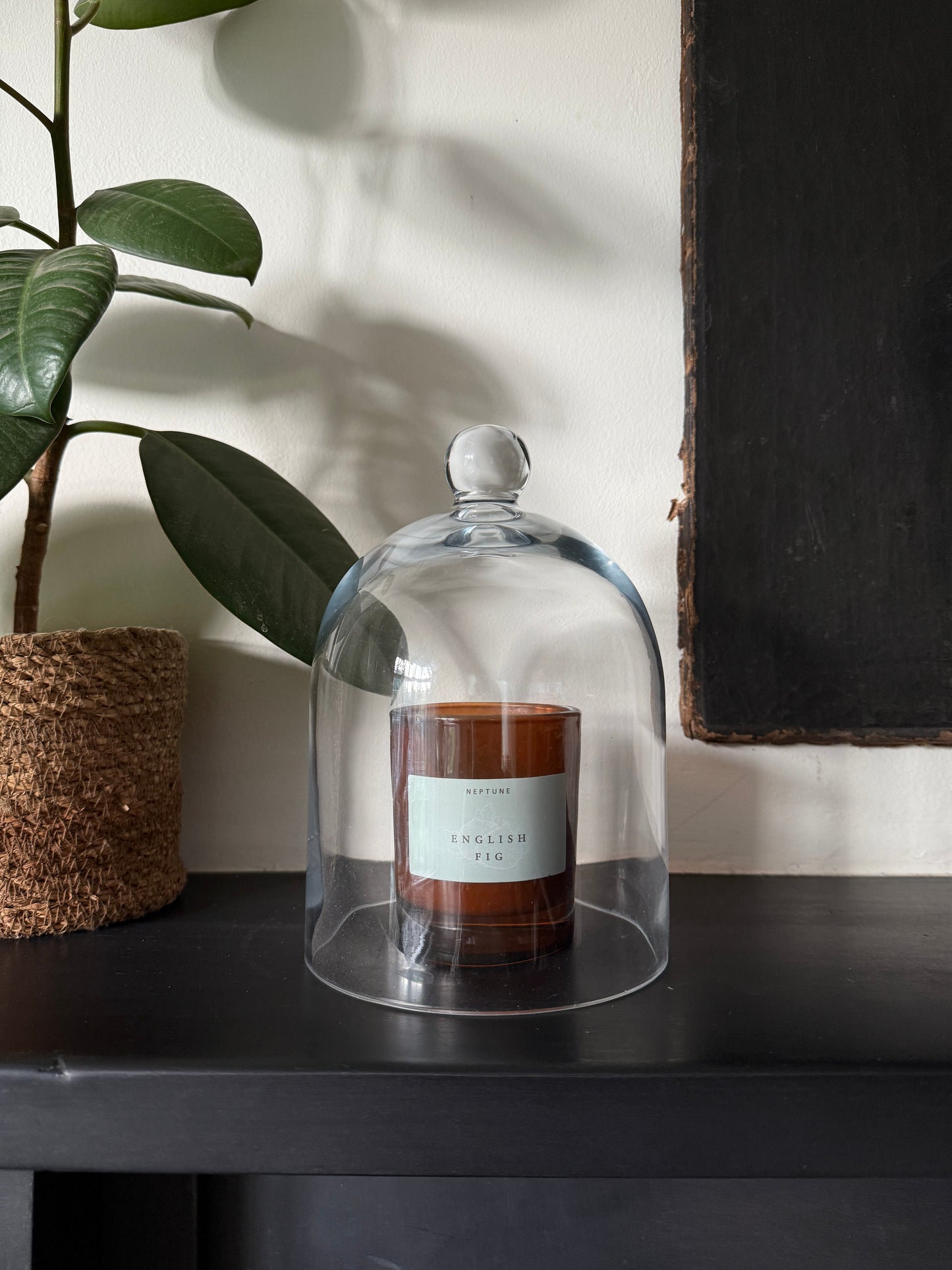 Beautiful glass dome / cloche