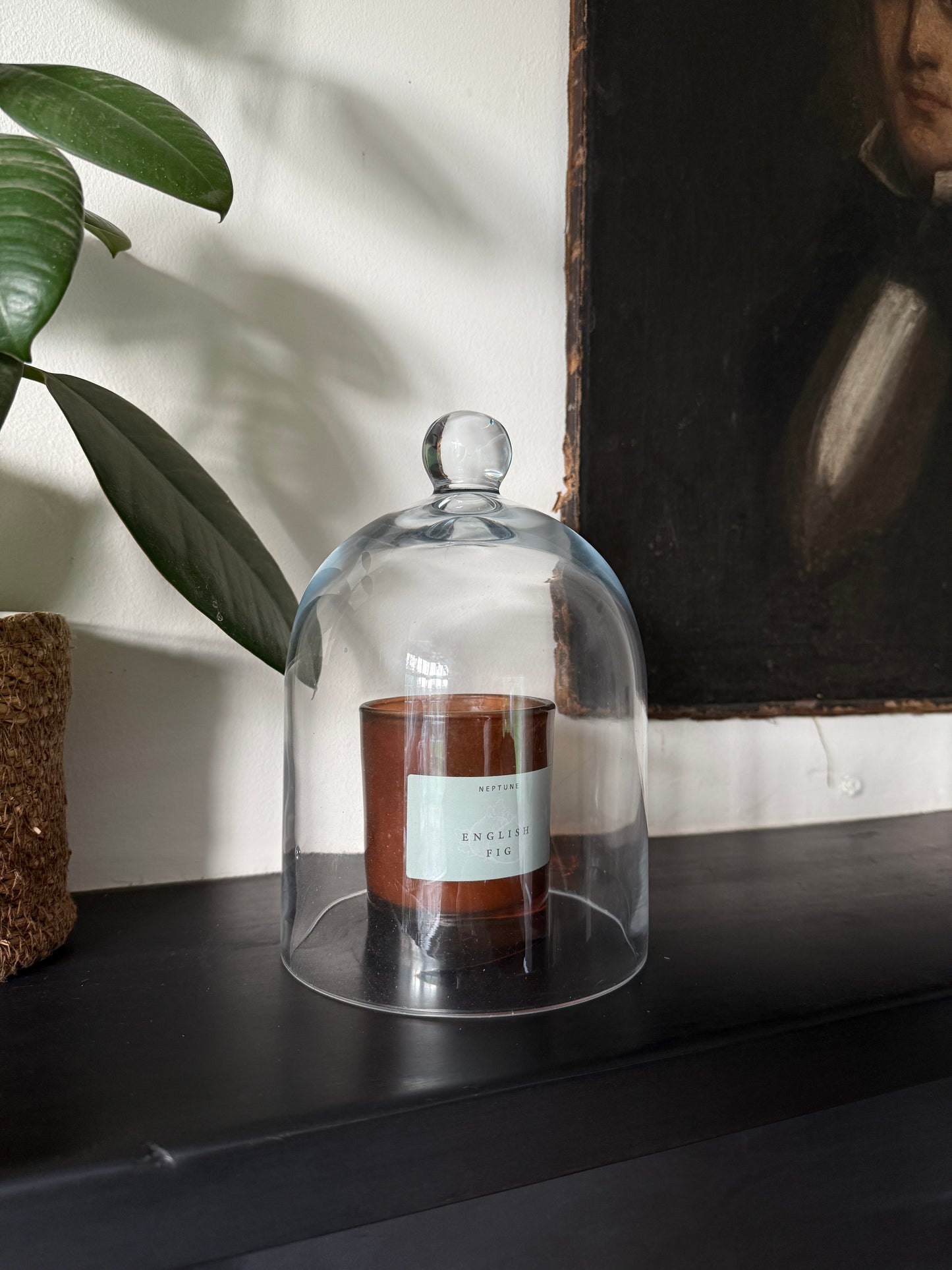 Beautiful glass dome / cloche