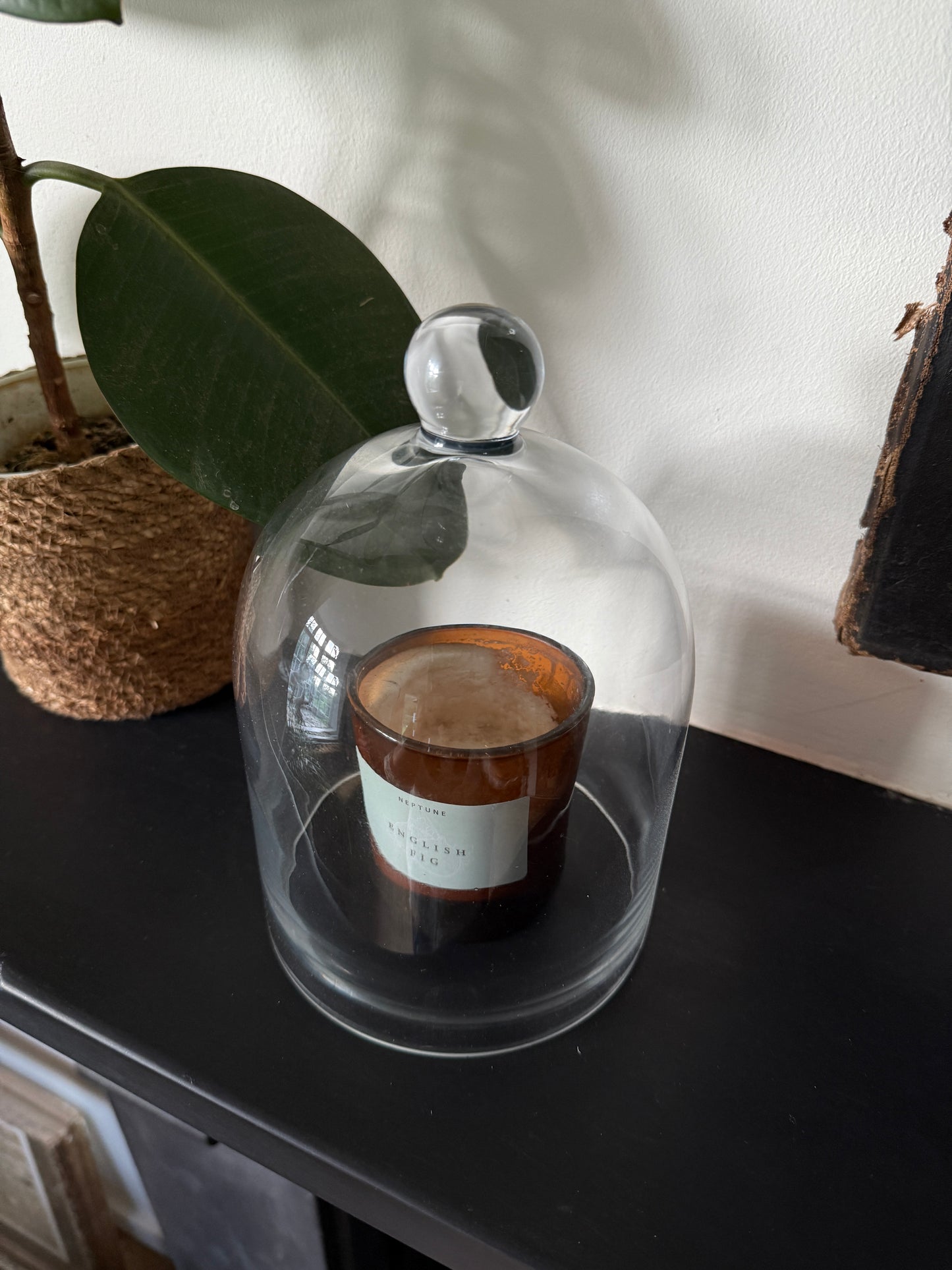 Beautiful glass dome / cloche