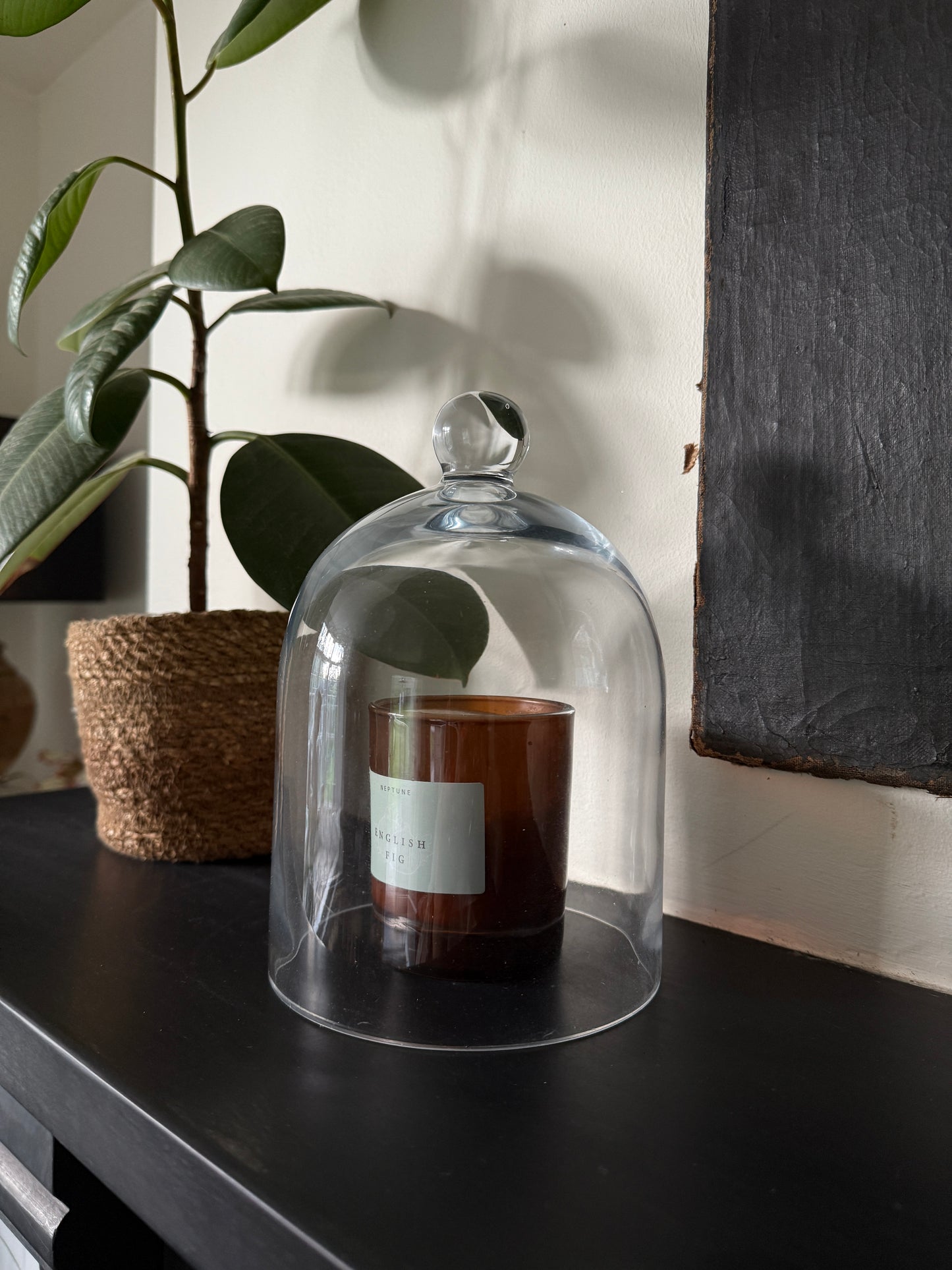 Beautiful glass dome / cloche