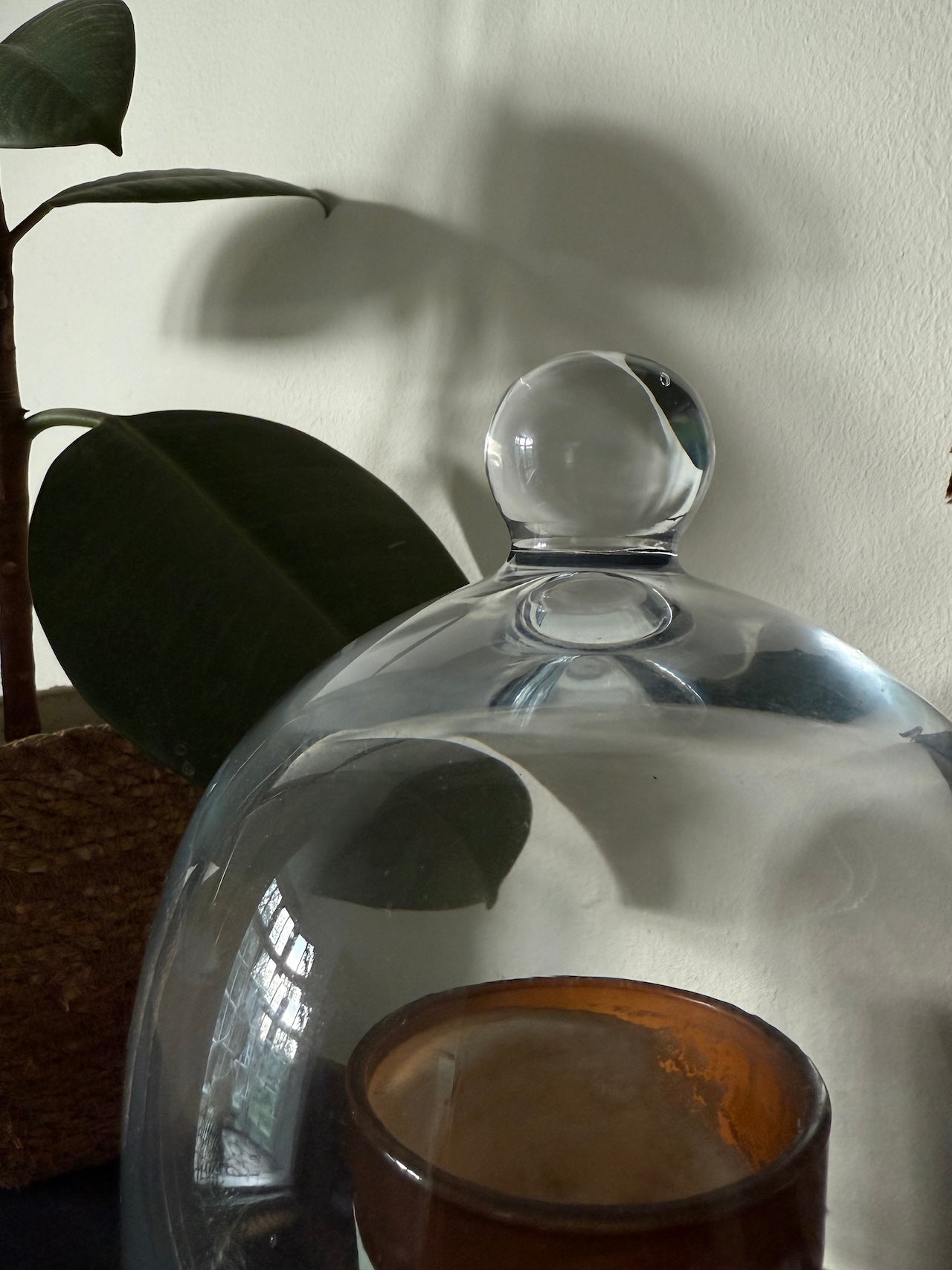 Beautiful glass dome / cloche