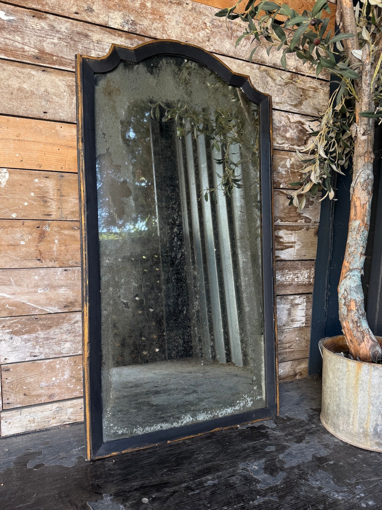 Black + gilt foxed mirror