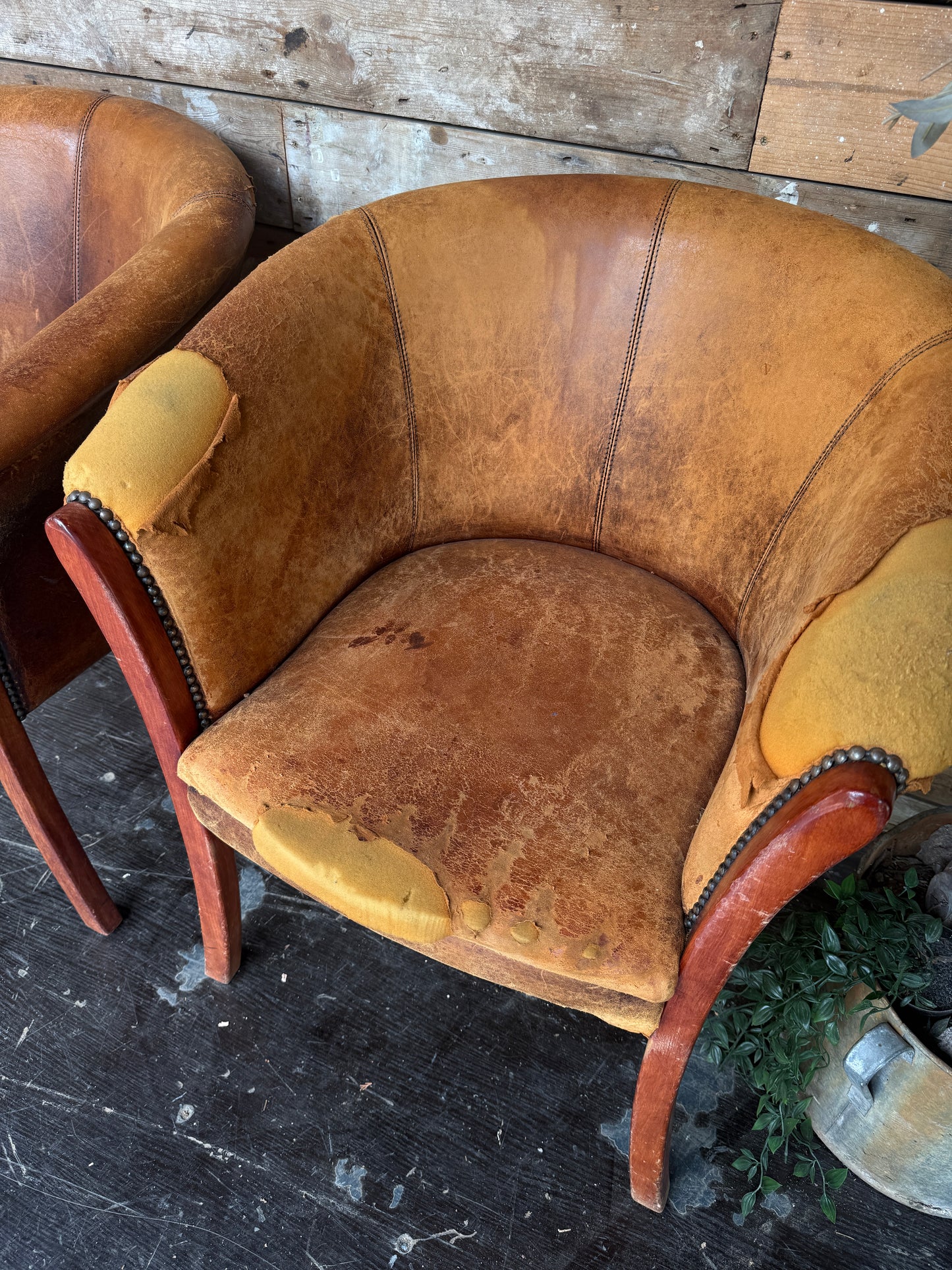 Pair of worn Dutch leather tub chairs