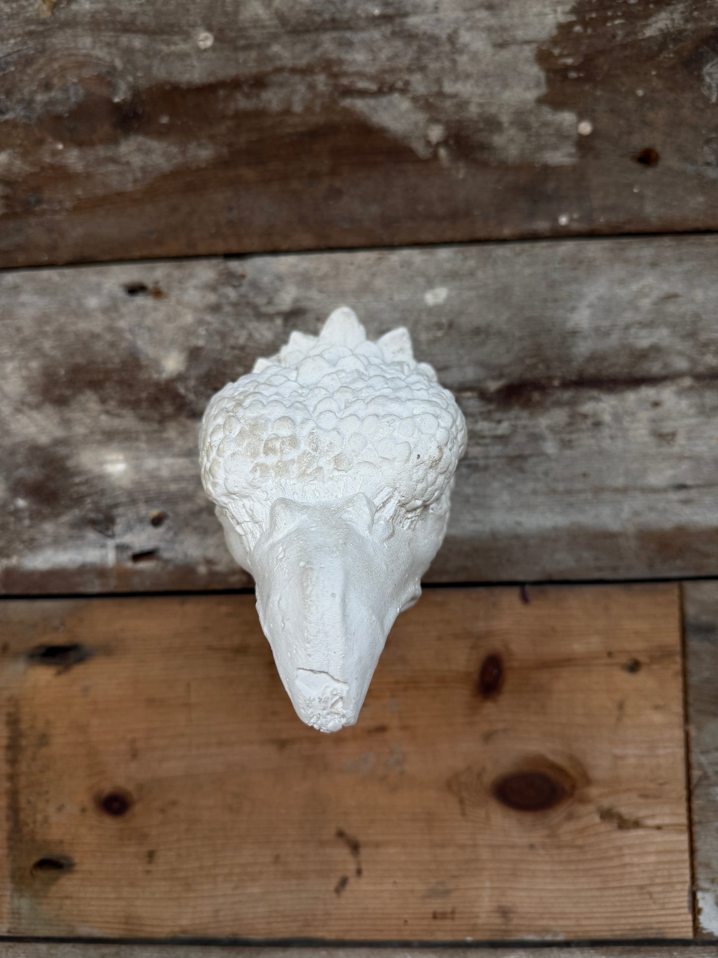 Small plaster eagle head