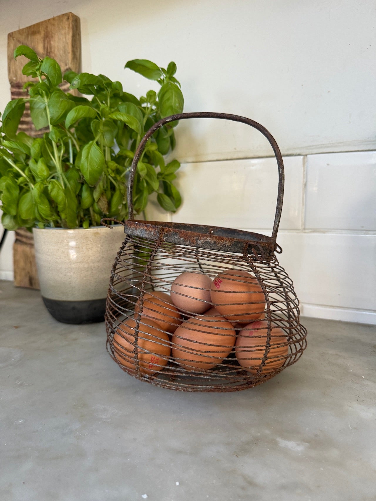 Small vintage French egg basket