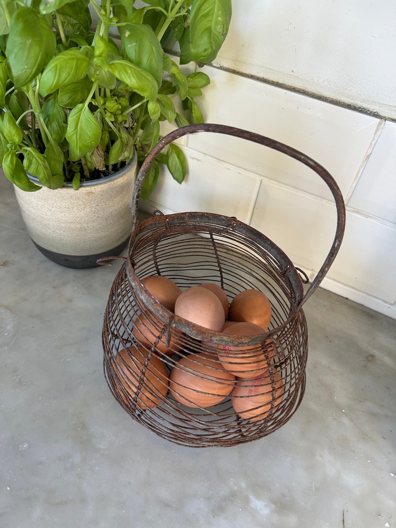 Small vintage French egg basket