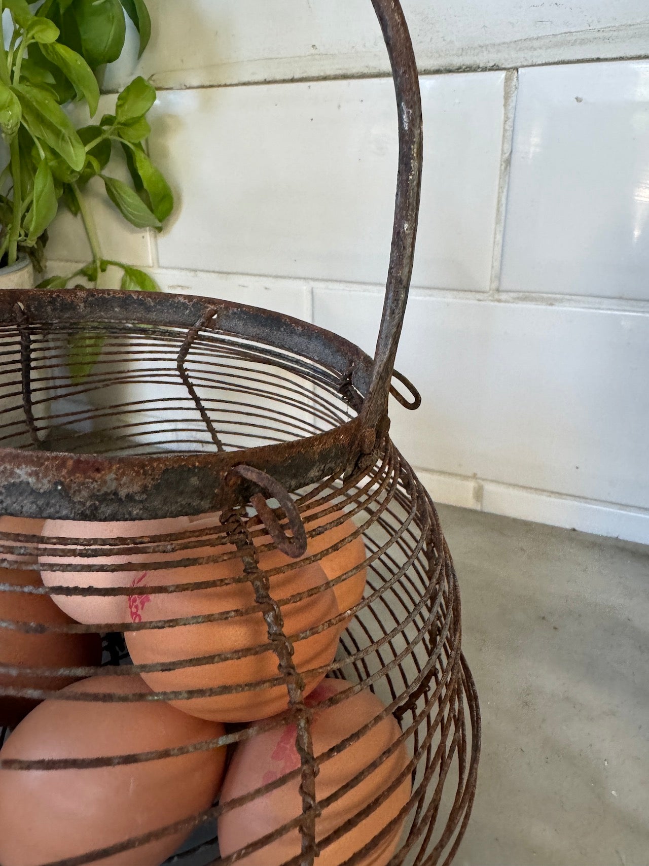 Small vintage French egg basket