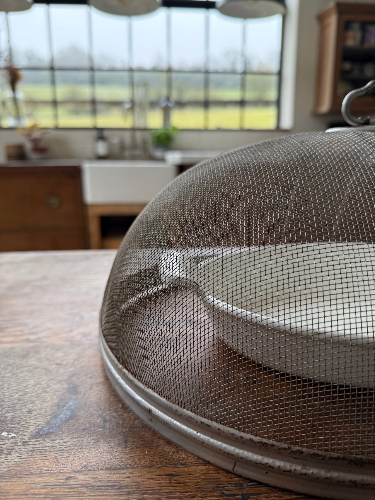 Vintage mesh Wirax oval food cover / cloche