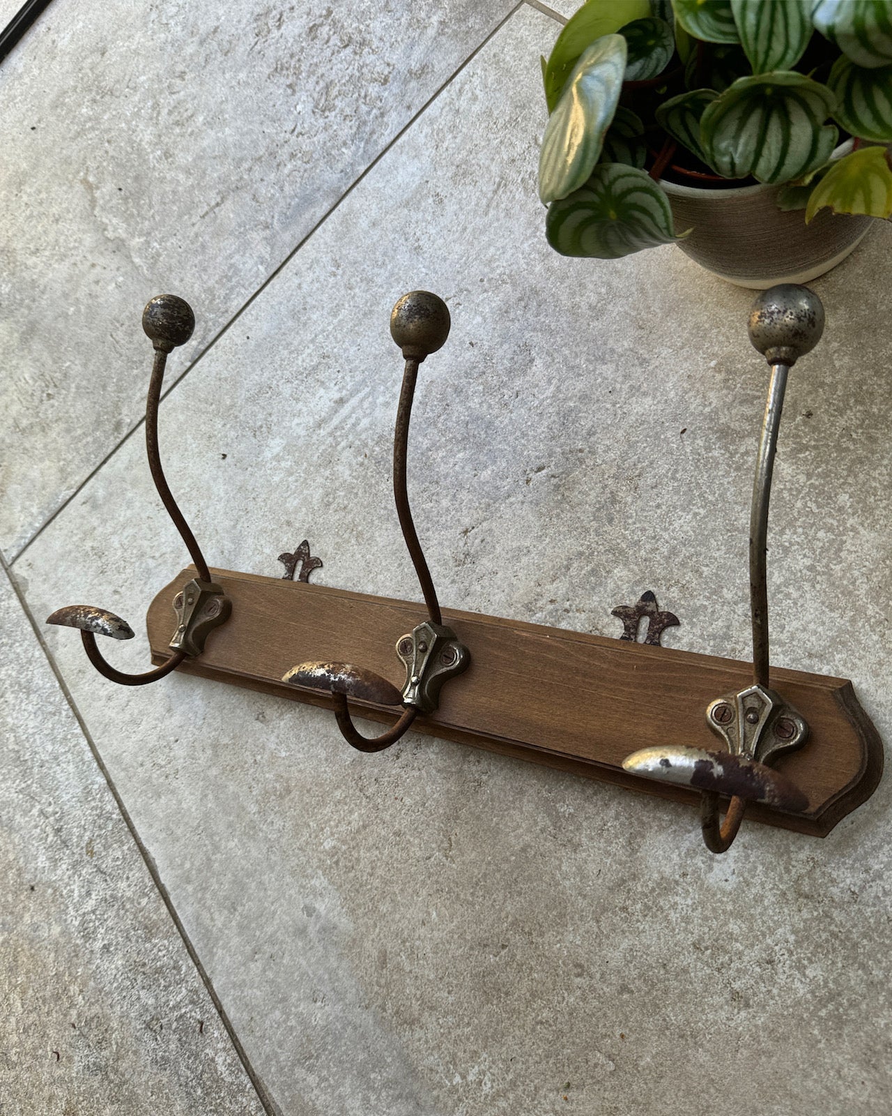 Antique French coat hooks