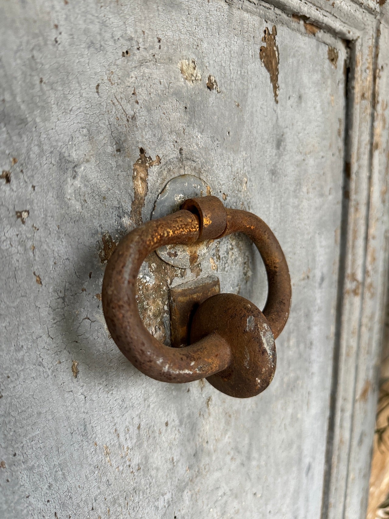 Rustic 18th Century French doors