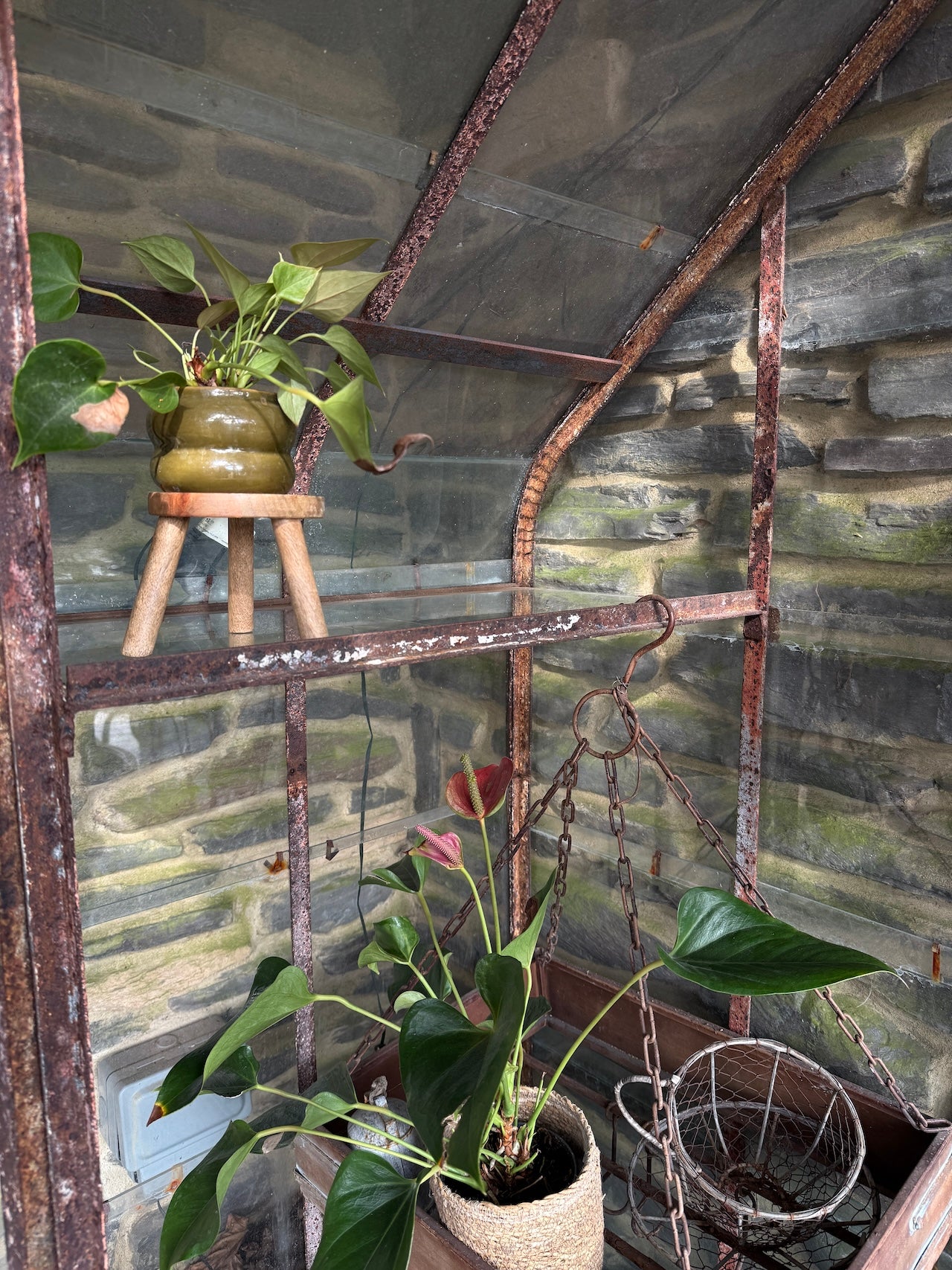 Reclaimed Victorian Style Greenhouse