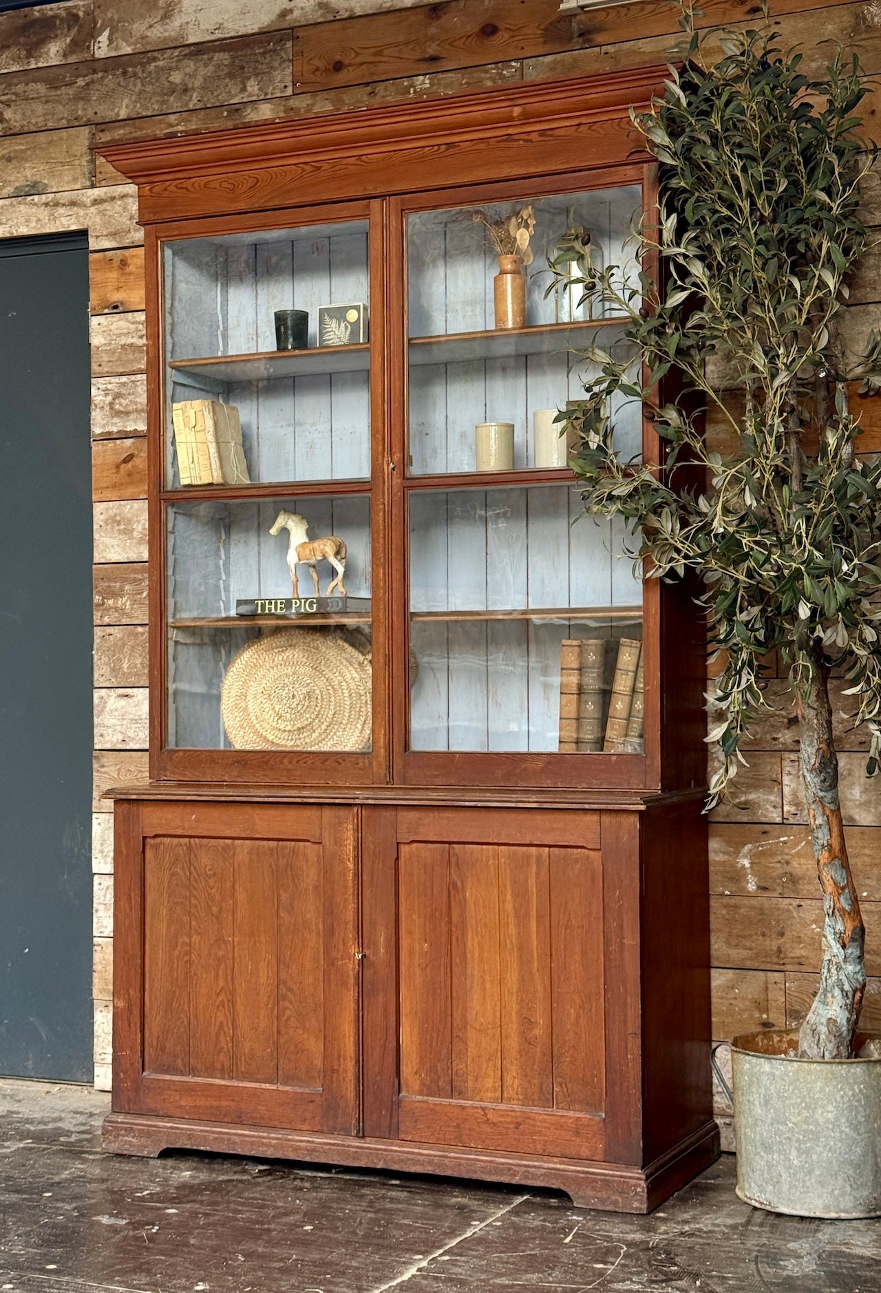 Glazed rustic Victorian bookcase