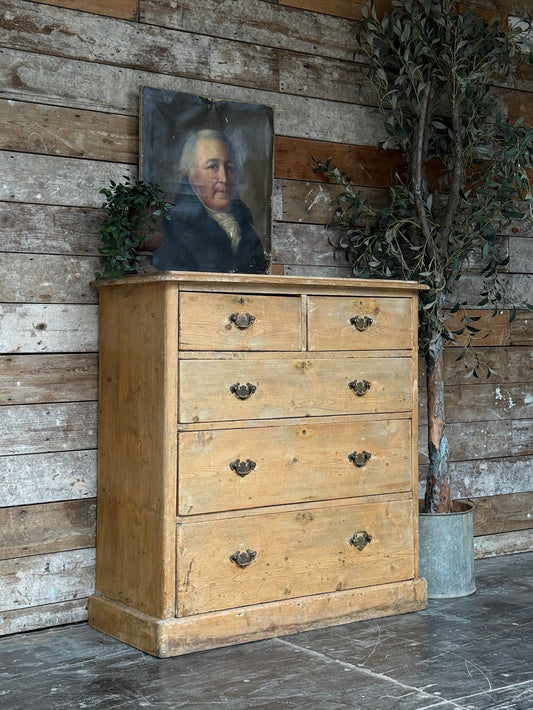 Rustic Edwardian pine chest of drawers