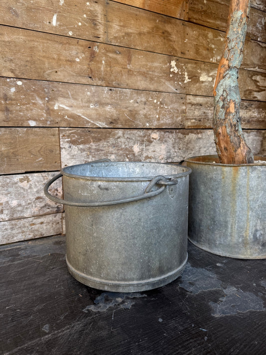 Galvanised bucket / planter