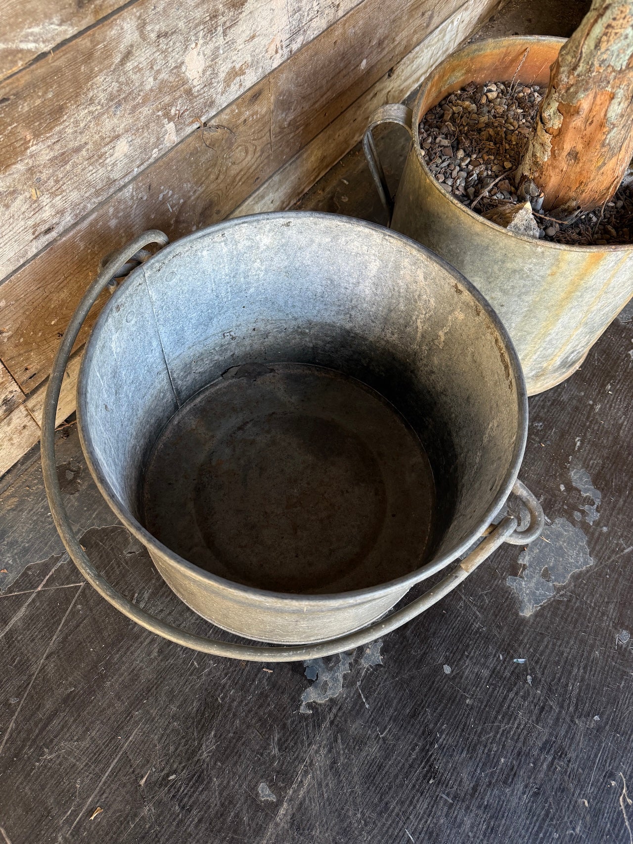 Galvanised bucket / planter