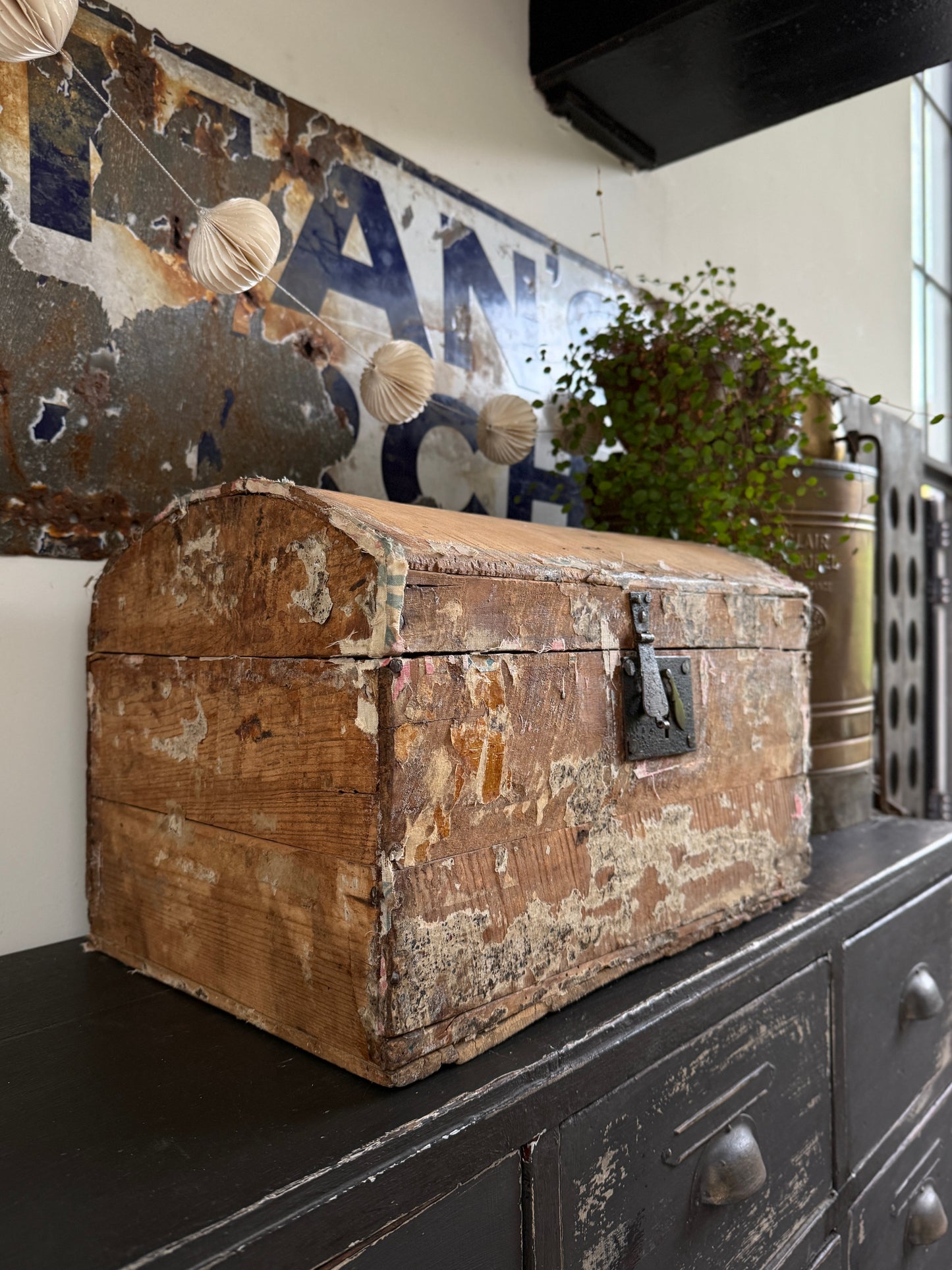 Old pine trunk / treasure chest