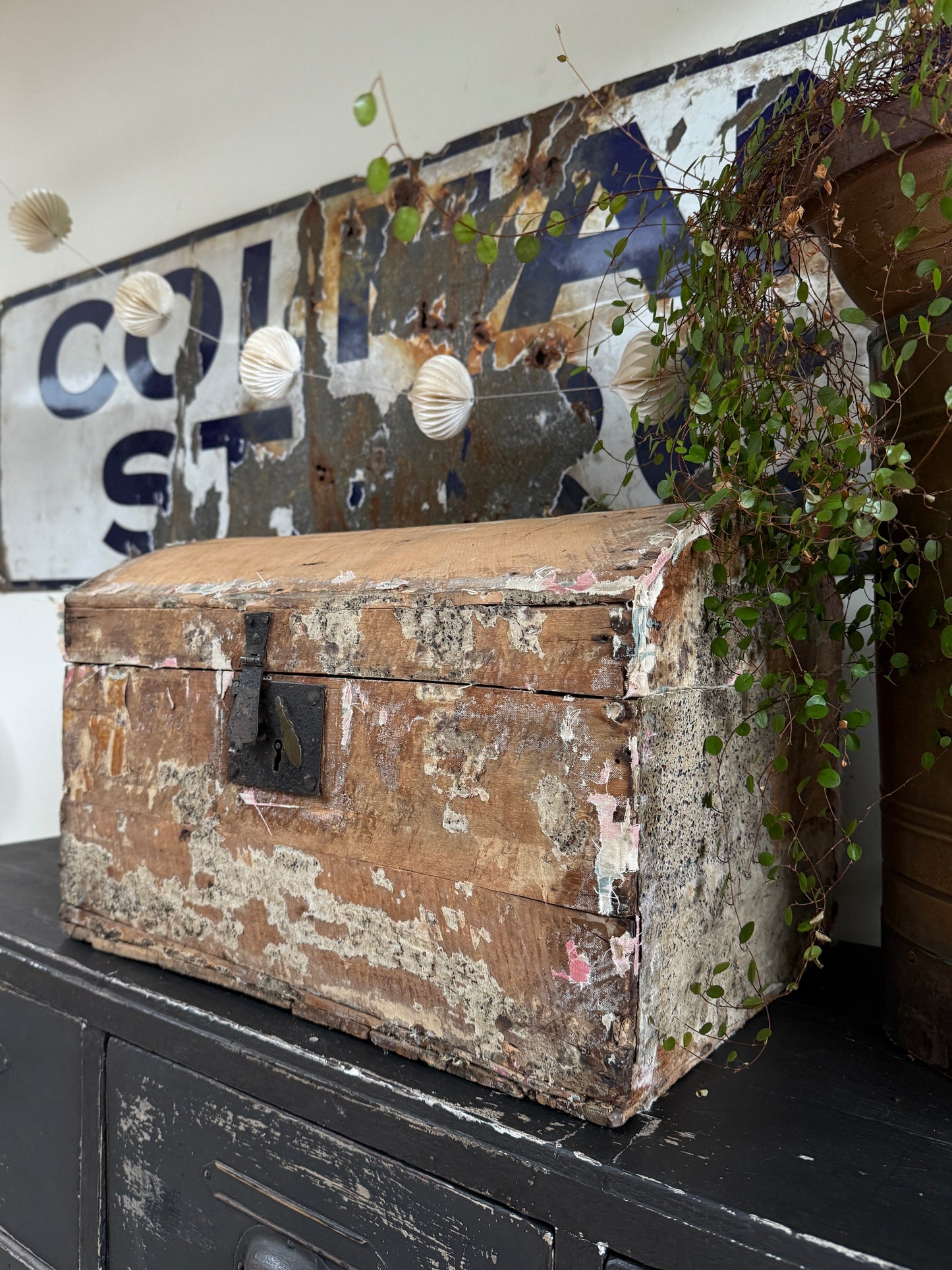 Old pine trunk / treasure chest