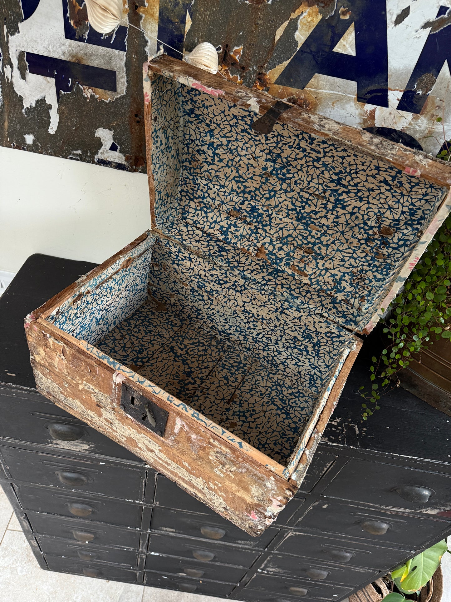 Old pine trunk / treasure chest