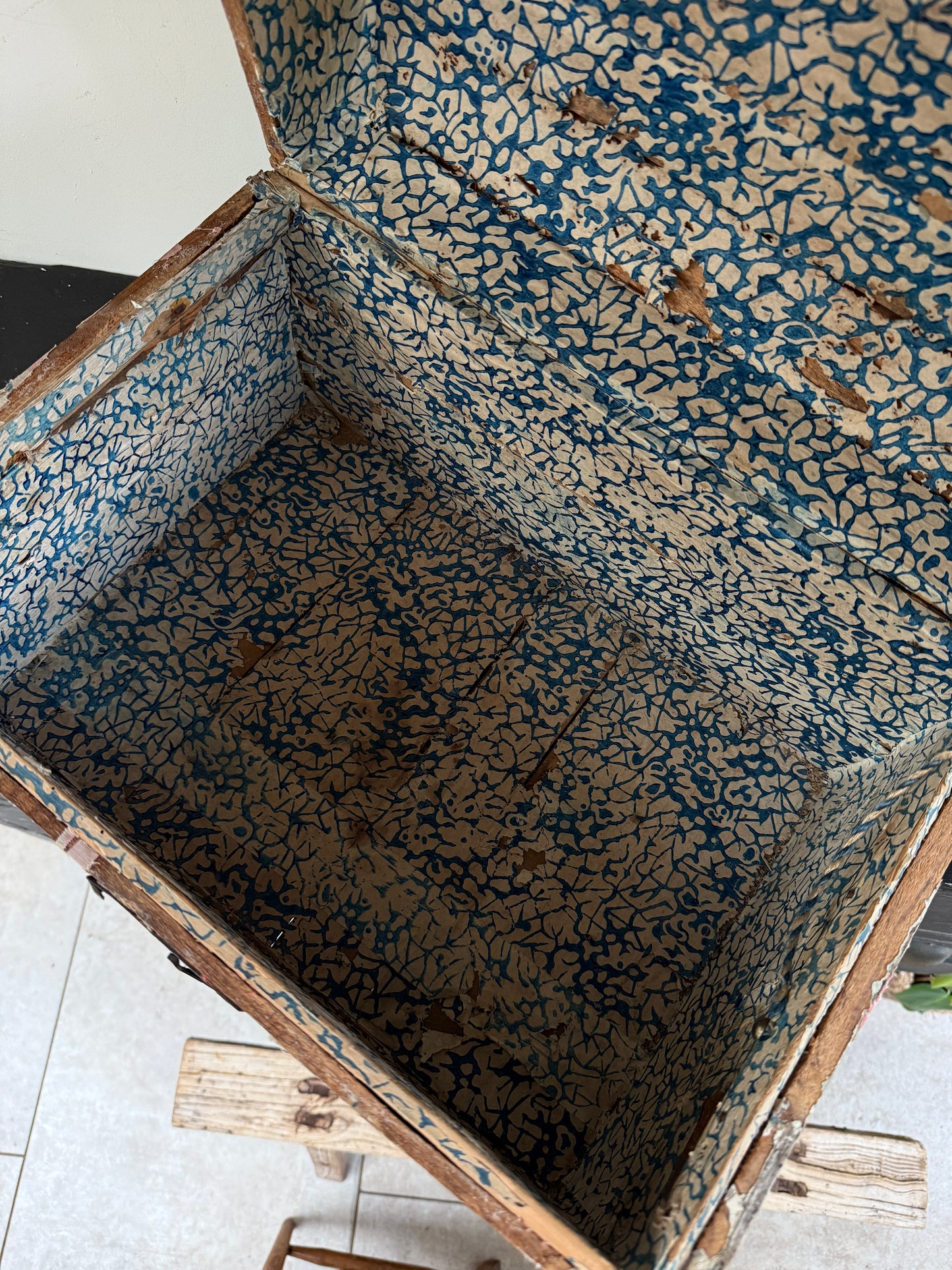 Old pine trunk / treasure chest