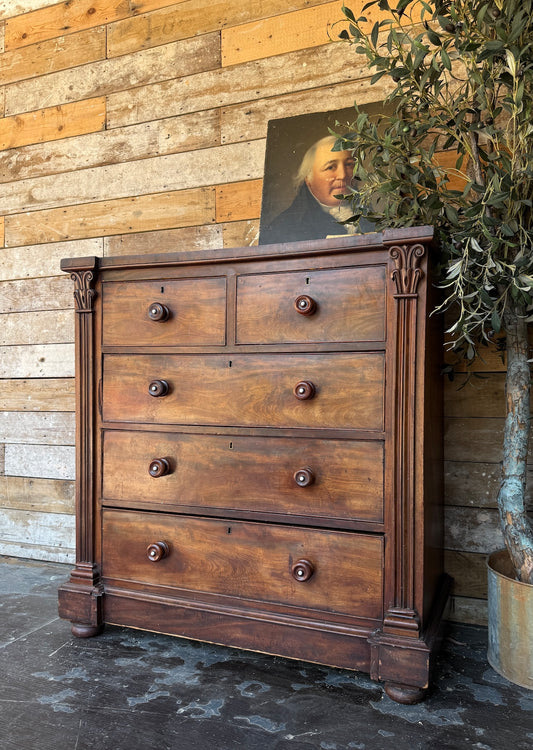 Handsome rustic Scottish chest of drawers