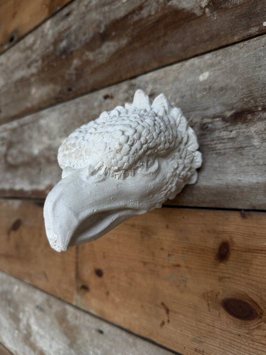 Small plaster eagle head
