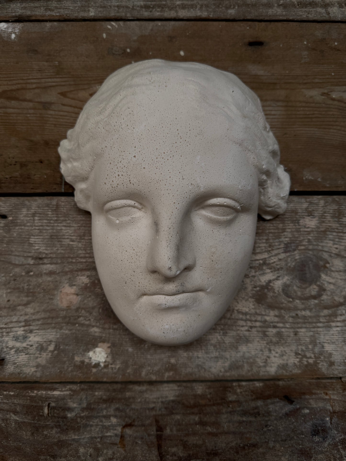 Classical plaster female head