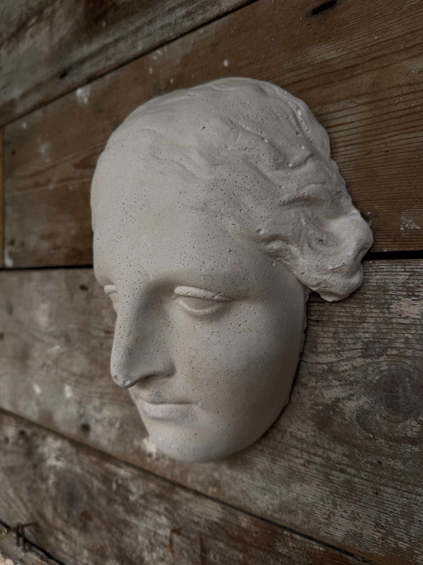 Classical plaster female head