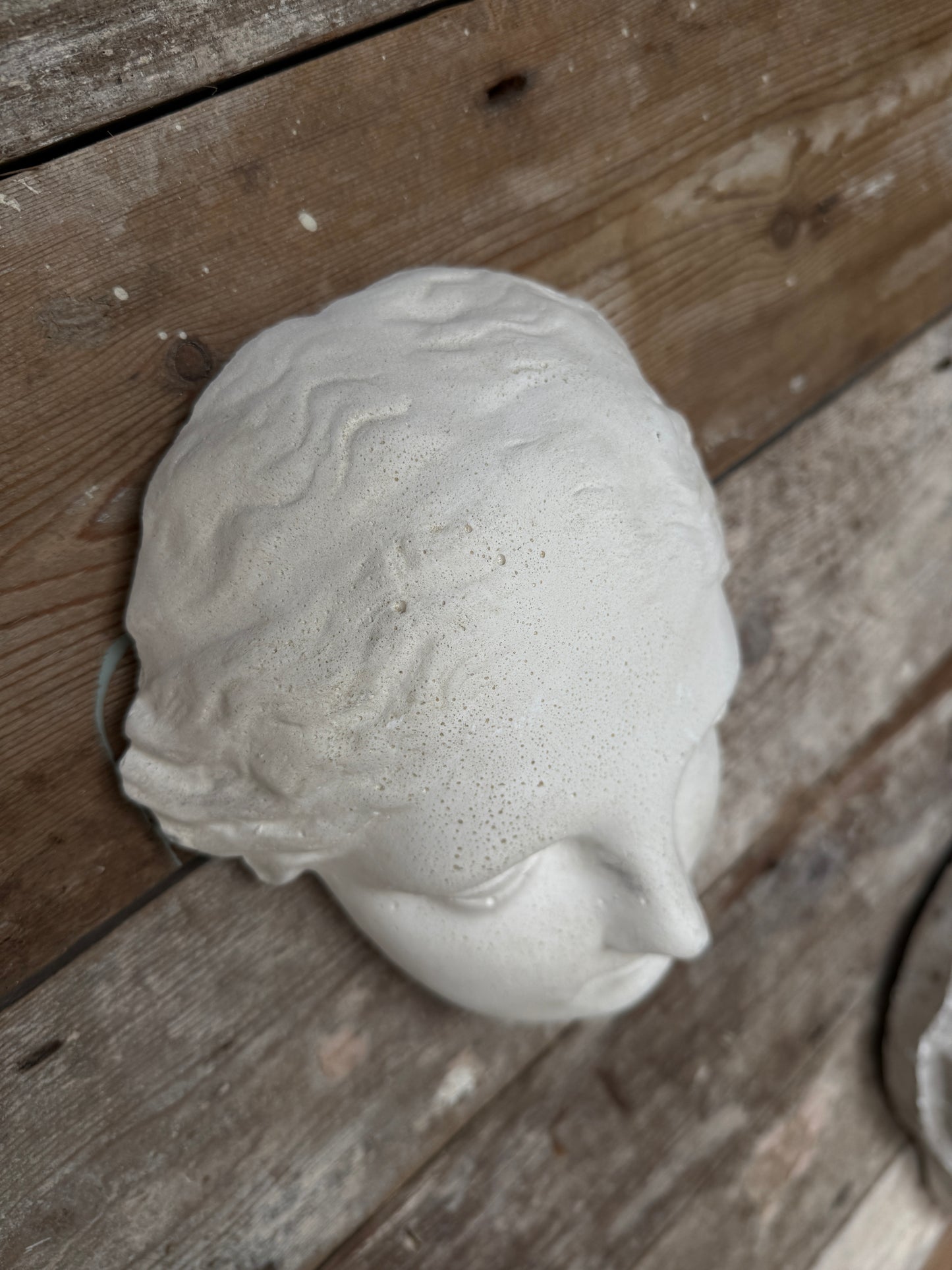 Classical plaster female head