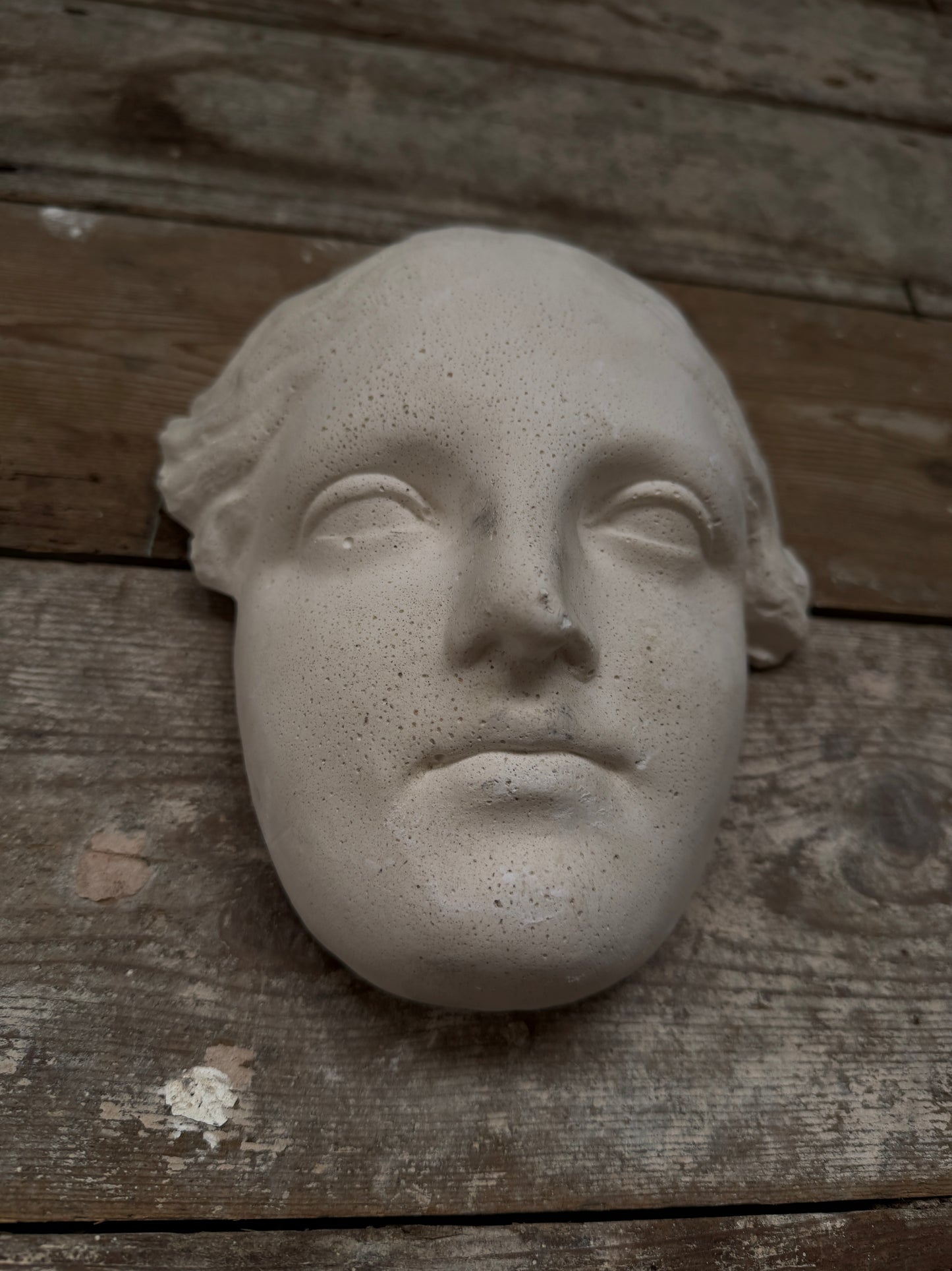 Classical plaster female head