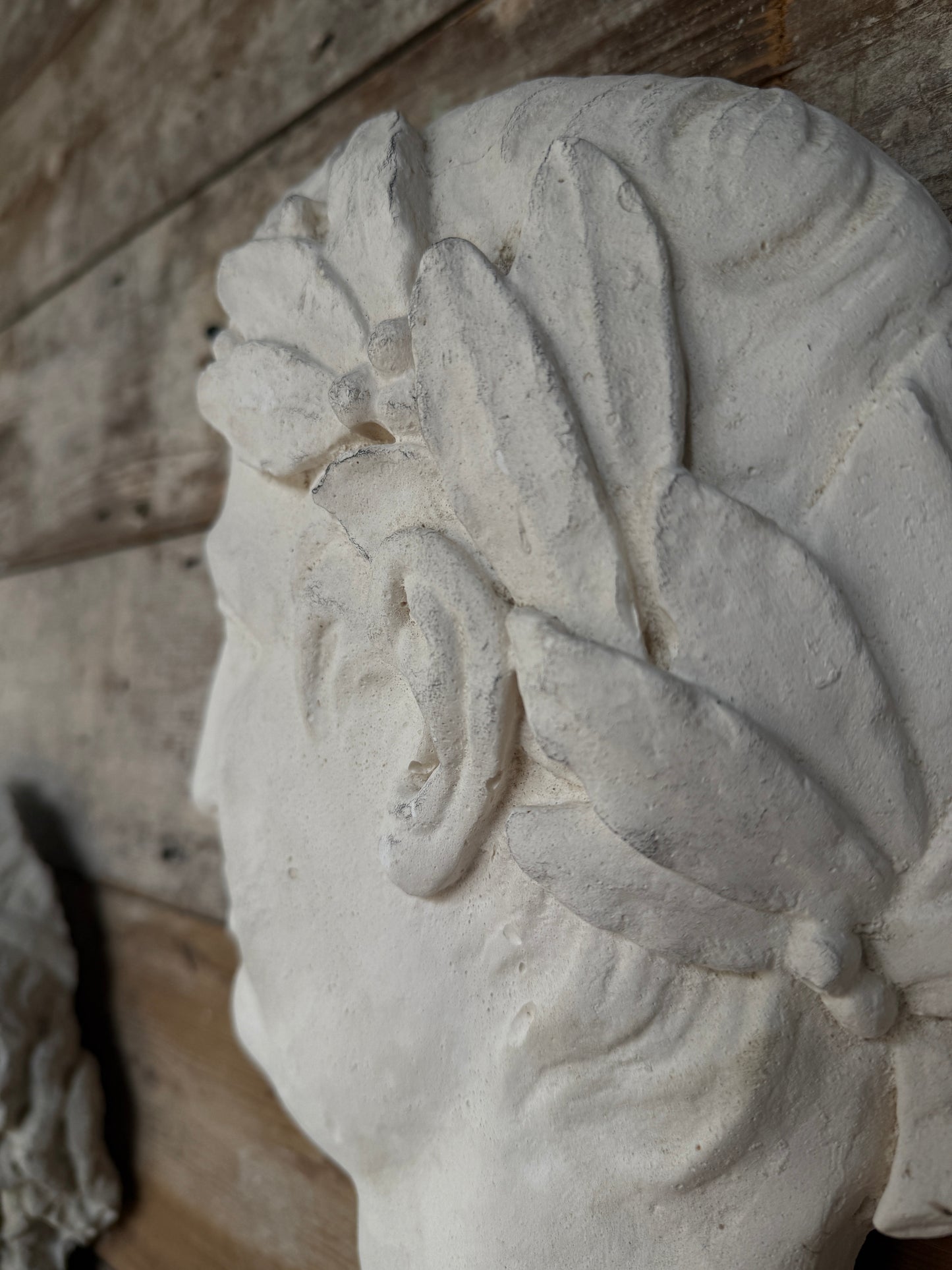 Plaster cast of Julius Caesar