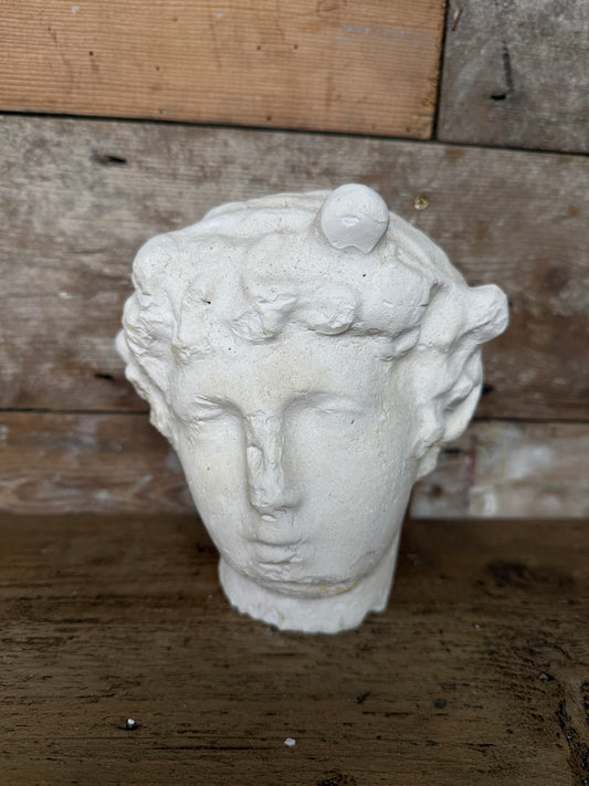 Classical plaster female head sculpture