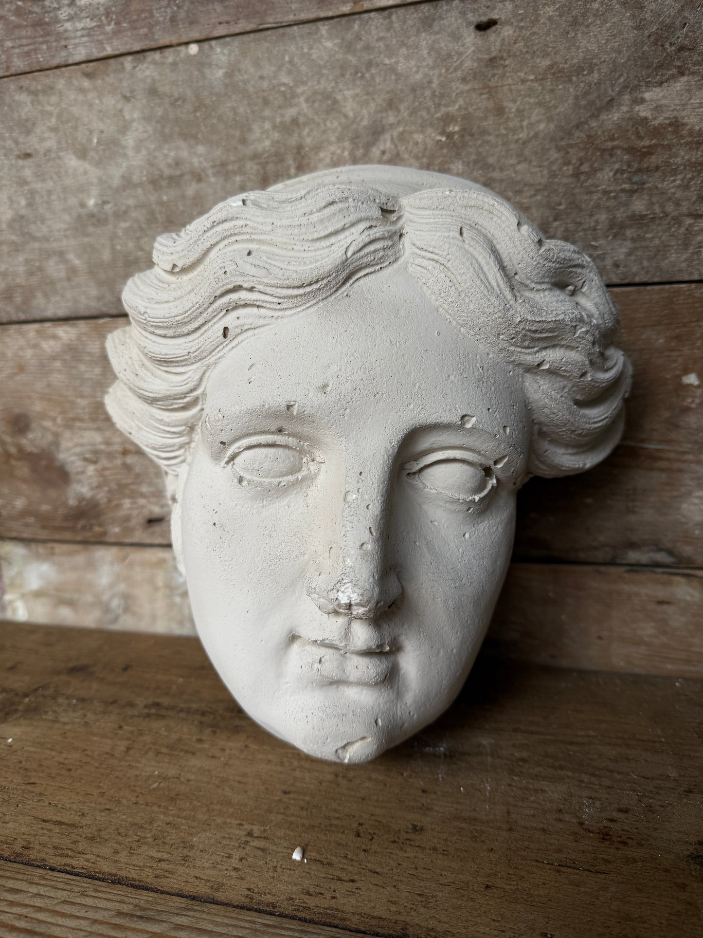 Plaster female Greek head