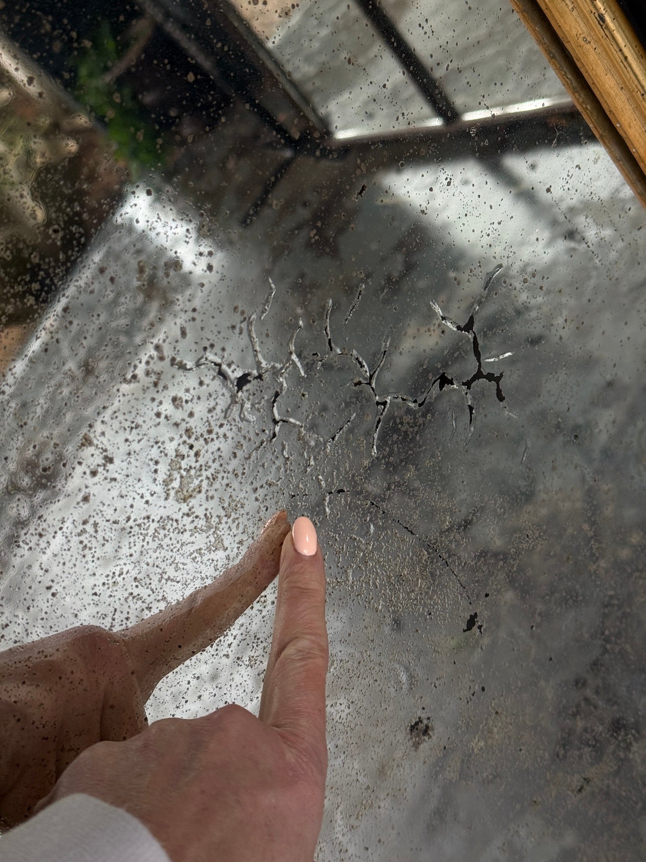 Fabulously foxed French Louis Philippe mirror