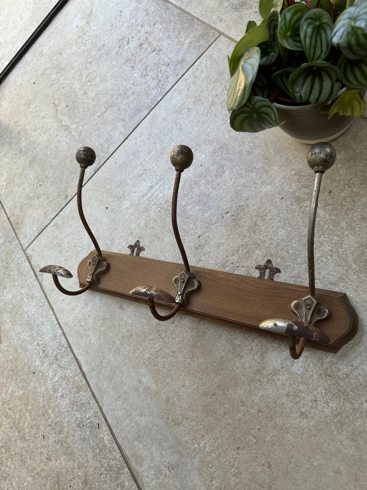 Antique French coat hooks