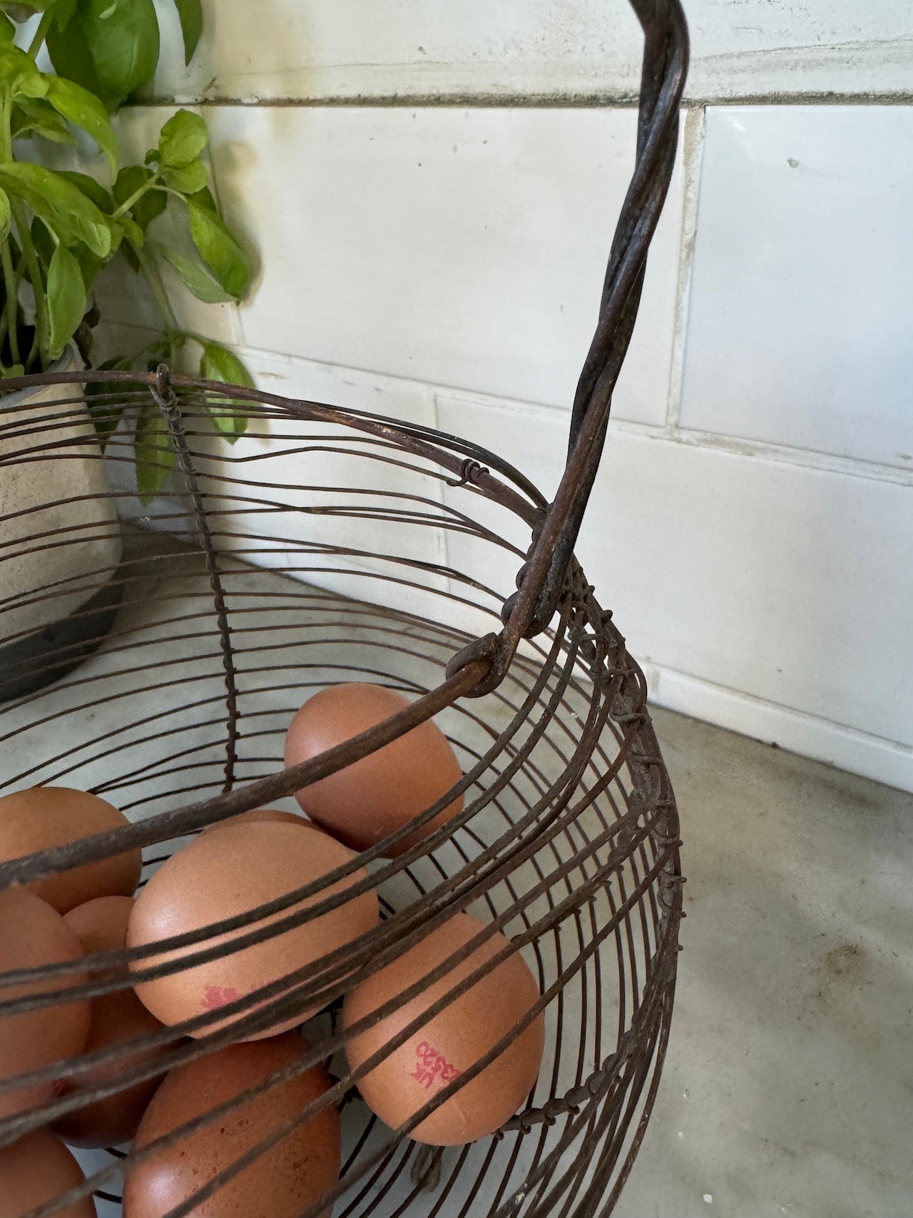 Vintage French egg basket