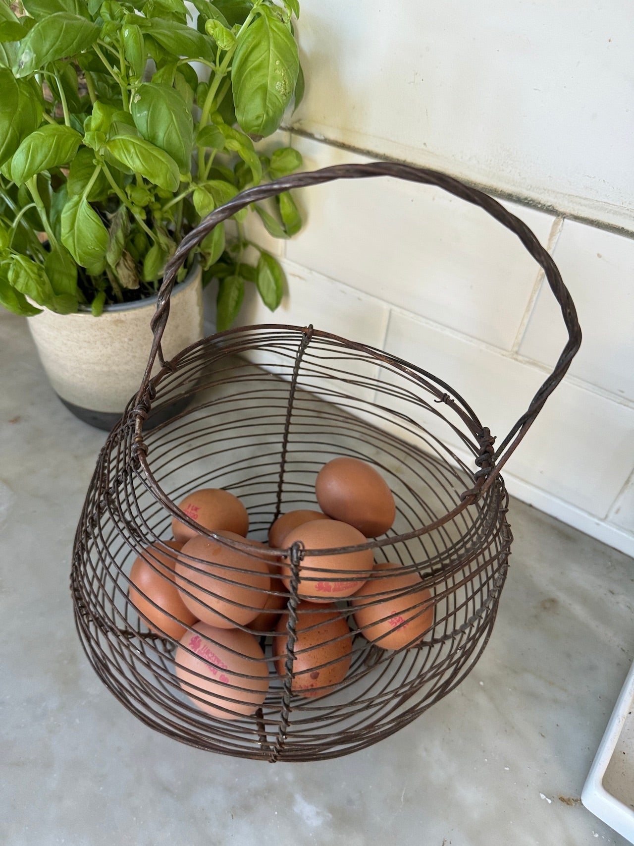 Vintage French egg basket